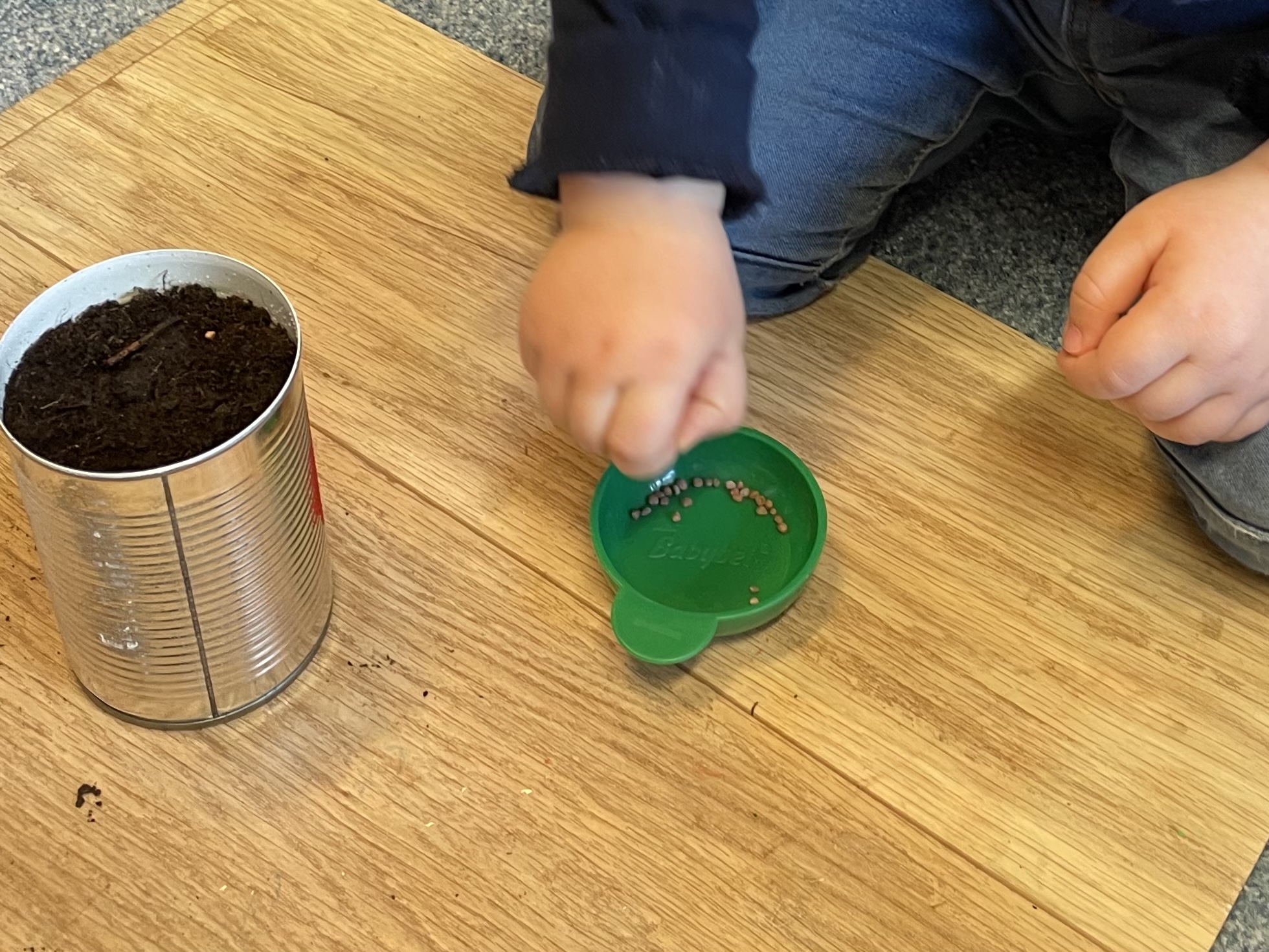 Bild zum Schritt 26 für das Bastel- und DIY-Abenteuer für Kinder: 'Jetzt wird angesät. Nehmt dazu die Radieschen- Samen und legt...'