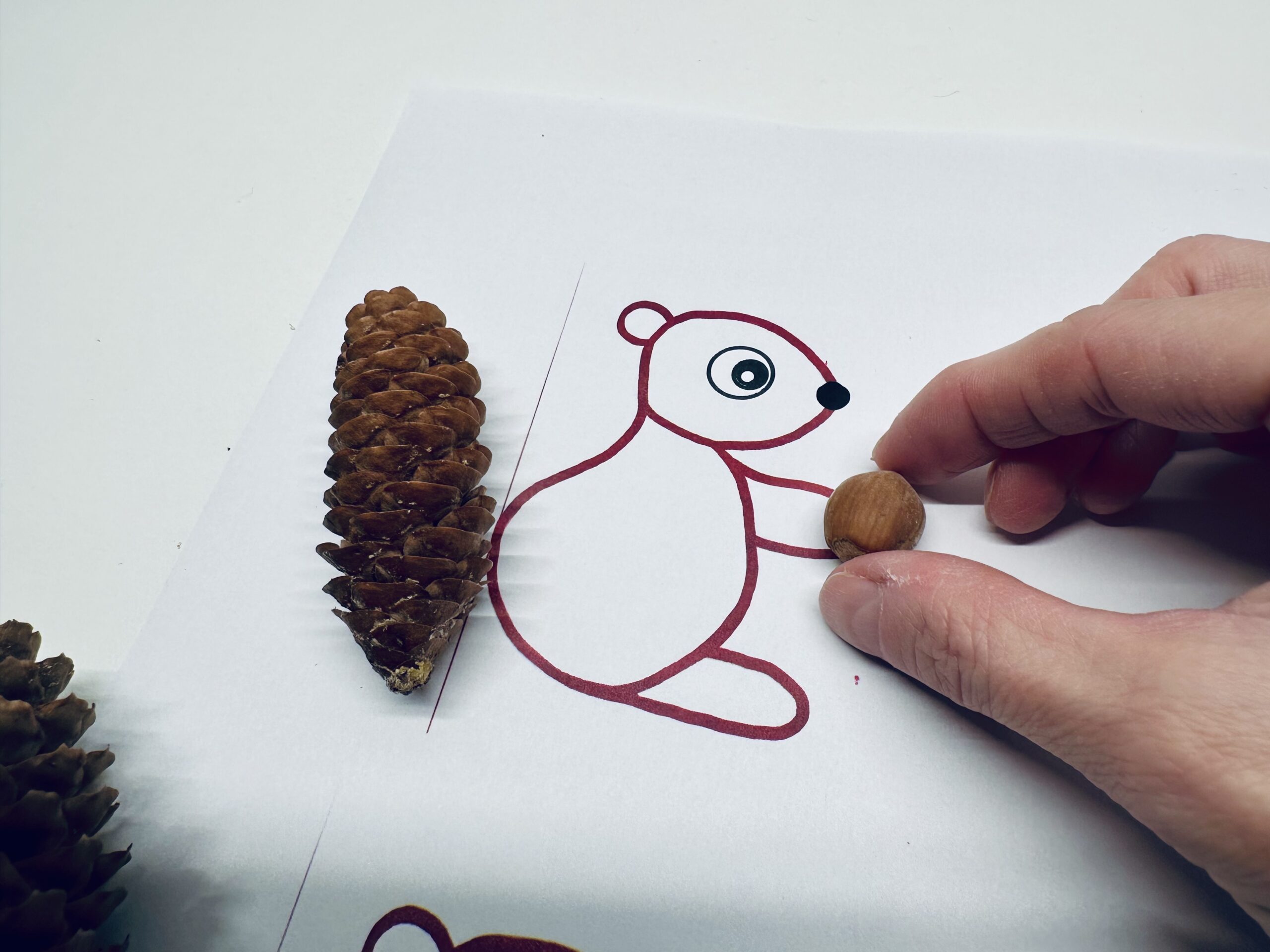Bild zum Schritt 2 für das Bastel- und DIY-Abenteuer für Kinder: 'Nehmt entweder die Vorlage für das Eichhörnchen oder malt ein...'