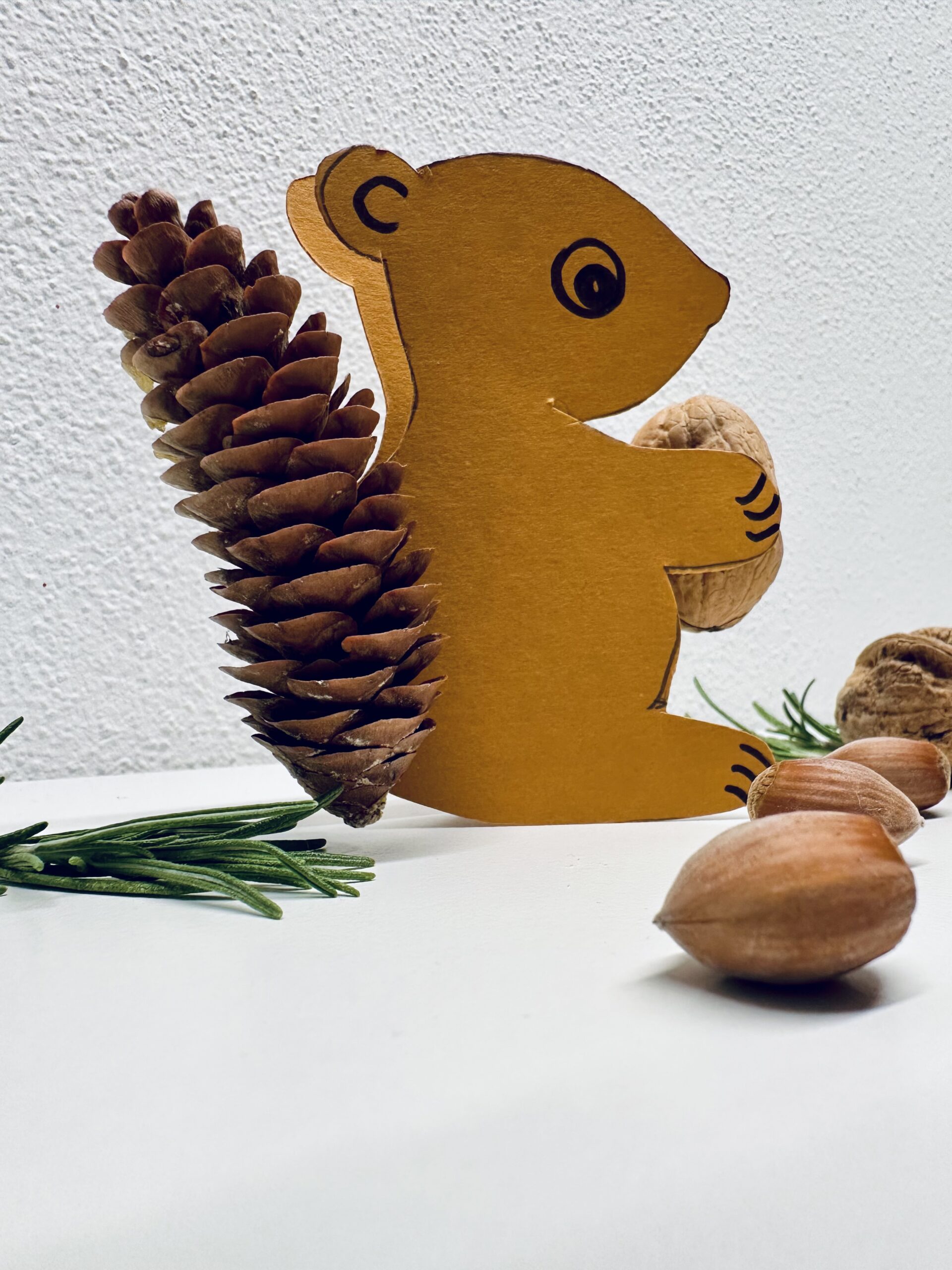 Bild zum Schritt 10 für das Bastel- und DIY-Abenteuer für Kinder: 'Sucht euch ein schönes Plätzchen für das Eichhörnchen.🐿️'