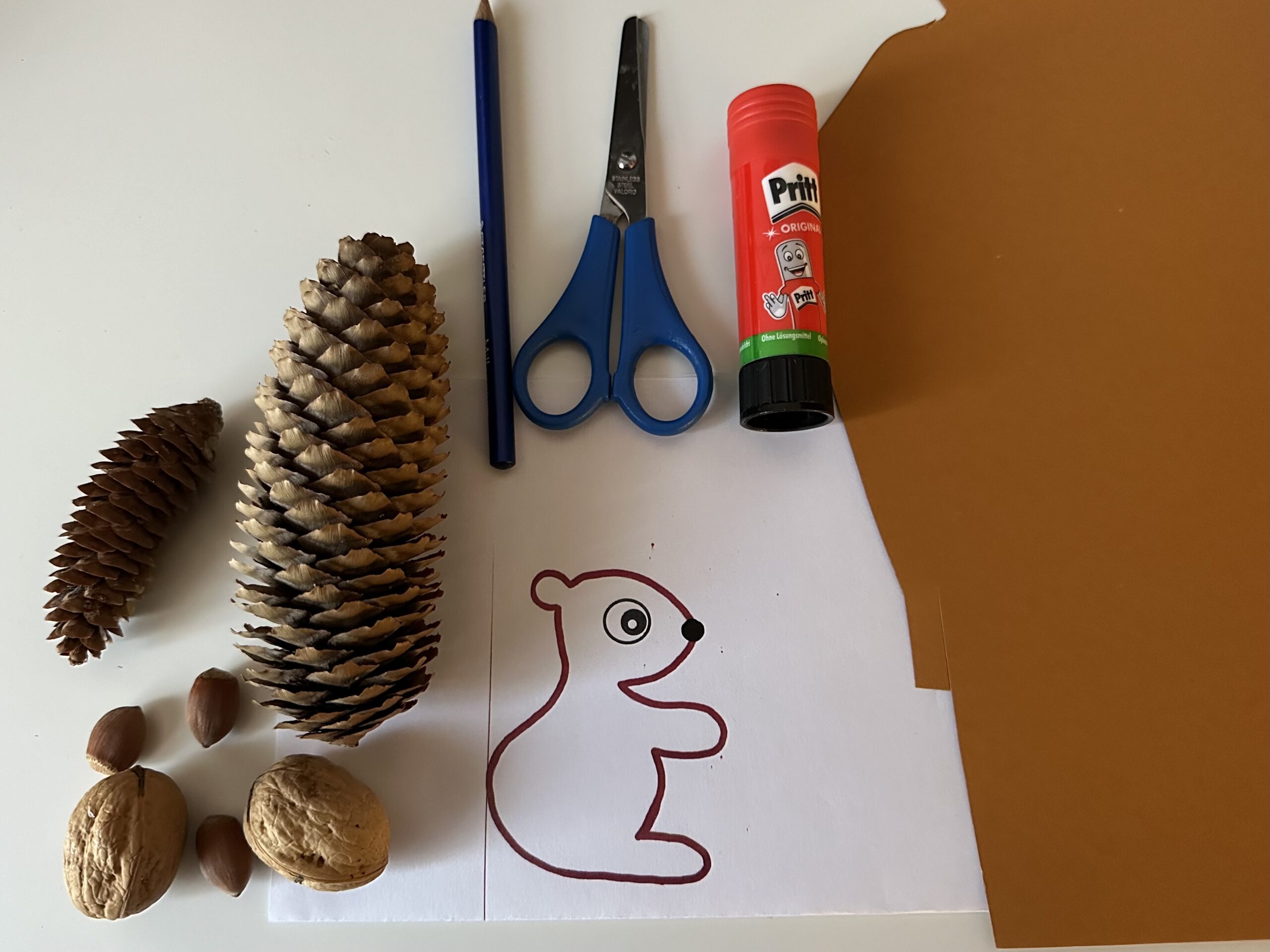 Bild zum Schritt 1 für das Bastel- und DIY-Abenteuer für Kinder: 'Legt alle Bastelmaterialien zurecht, und breitet eure Bastelunterlage aus.'