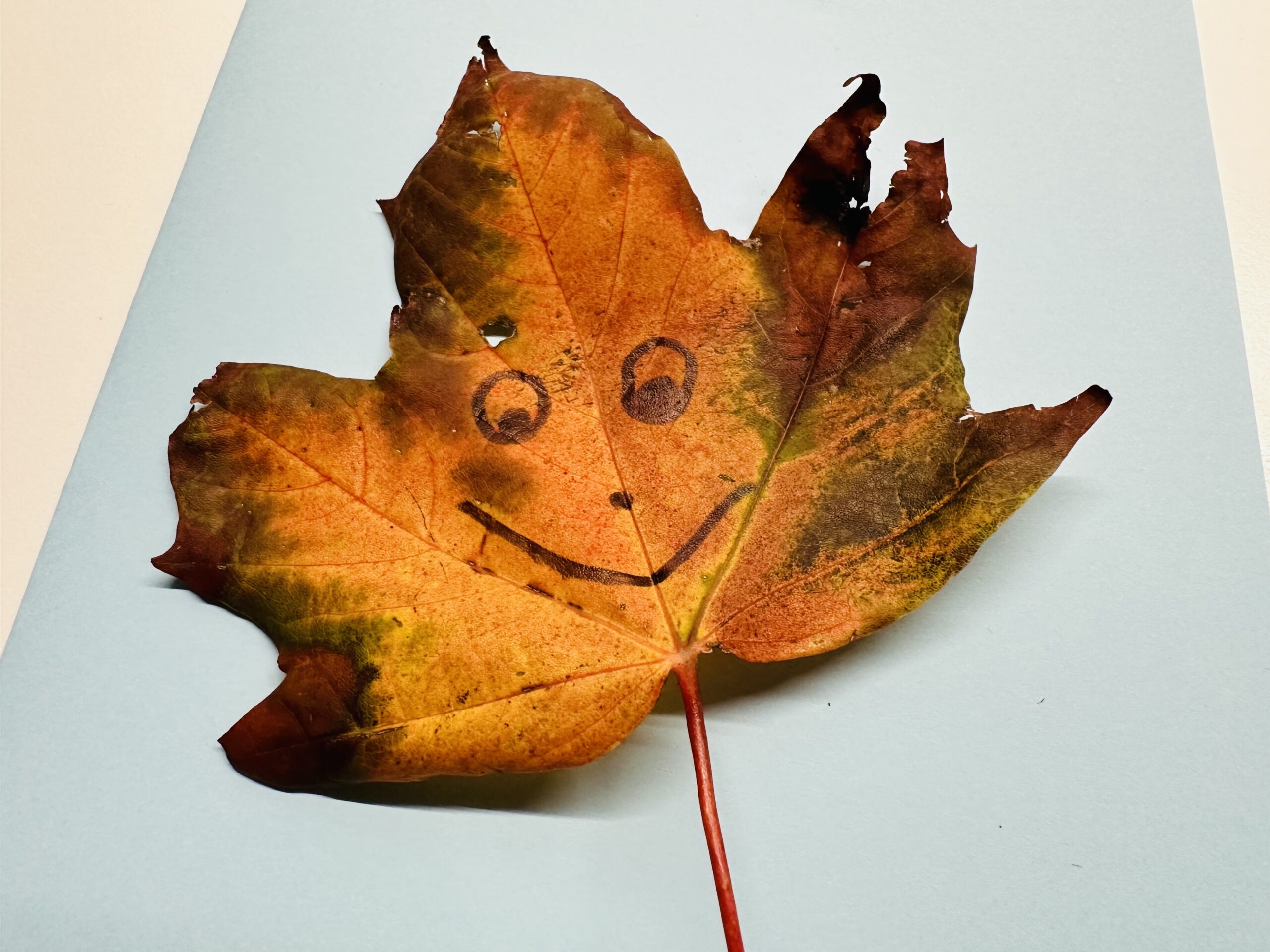 Bild zum Schritt 4 für das Bastel- und DIY-Abenteuer für Kinder: 'Ein freundliches Gesicht - und schon ist der Blätterdrache fast...'