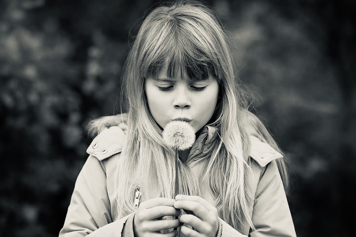 Bild zum Schritt 10 für die Kinder-Beschäftigung: 'Eine Pusteblume muss man nicht immer gleich wegpusten! 😉Dies Blume...'