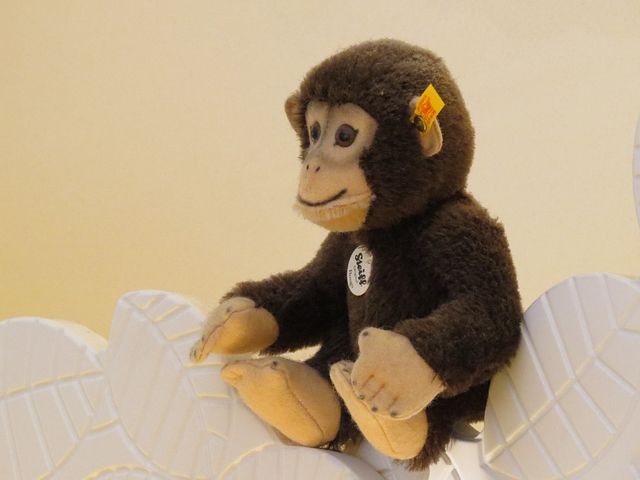 Bild zum Schritt 18 für das Bastel- und DIY-Abenteuer für Kinder: 'Kuscheltier: Affee  Lied: Die Affen rasen durch den Wald...'