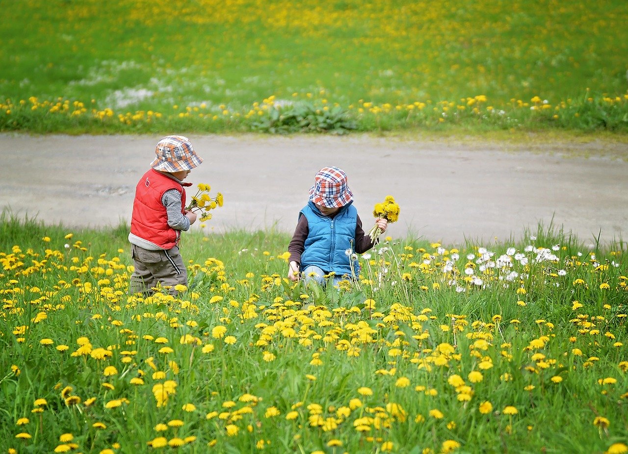 Bild zum Schritt 3 für das Bastel- und DIY-Abenteuer für Kinder: 'Jetzt pflückt Blumen und kleine Gräser.  Für größere Gläser...'