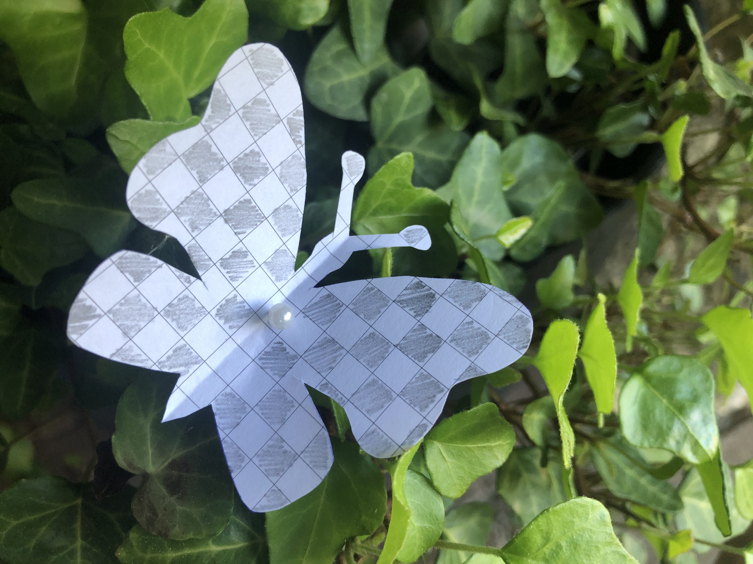 2. Bild zum Schritt 7 für das Bastel- und DIY-Abenteuer für Kinder: 'Weitere Idee:   Bastel viele weitere Schmetterlinge und klebe...'