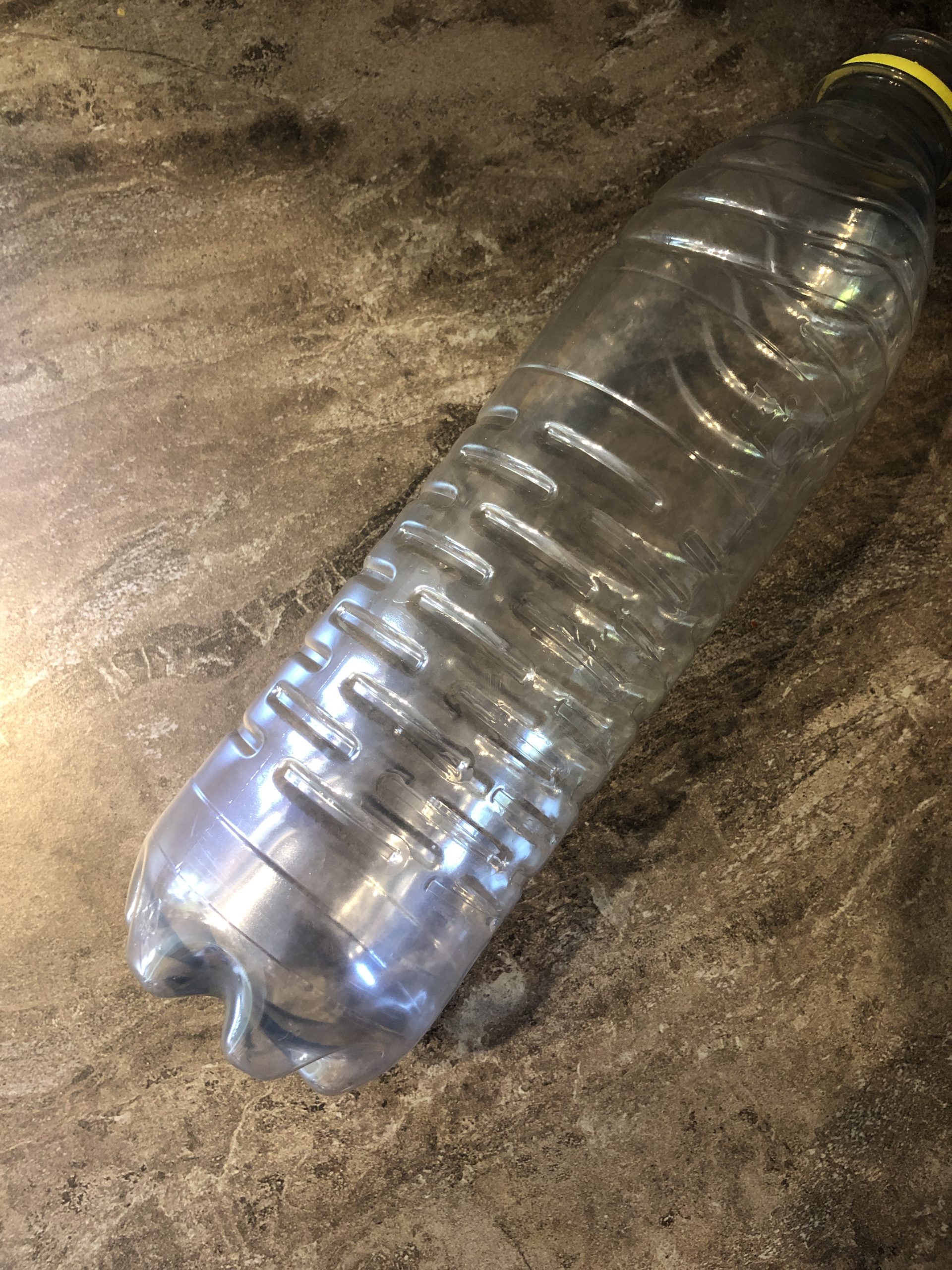 Bild zum Schritt 1 für das Bastel- und DIY-Abenteuer für Kinder: 'Eine leere Plastikflasche auswaschen .'