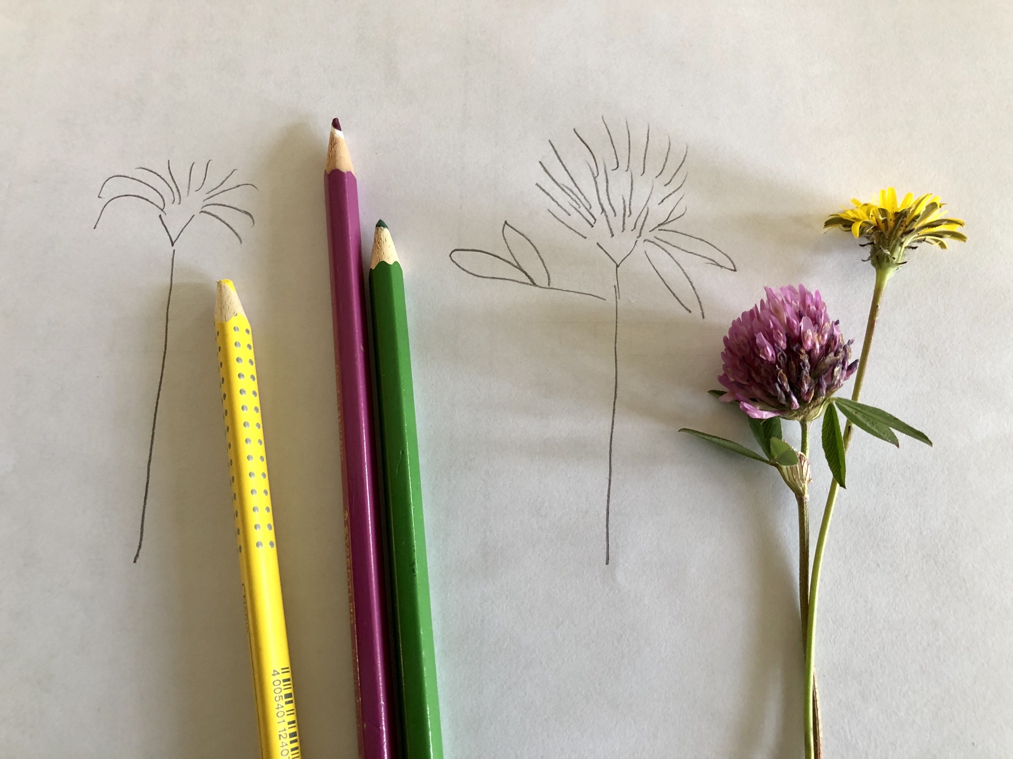 Blumen Selber Malen einfach Schritt f r Schritt Anleitung F r Kinder Blumen Selber Malen einfach Schritt f r Schritt Anleitung F r Kinder