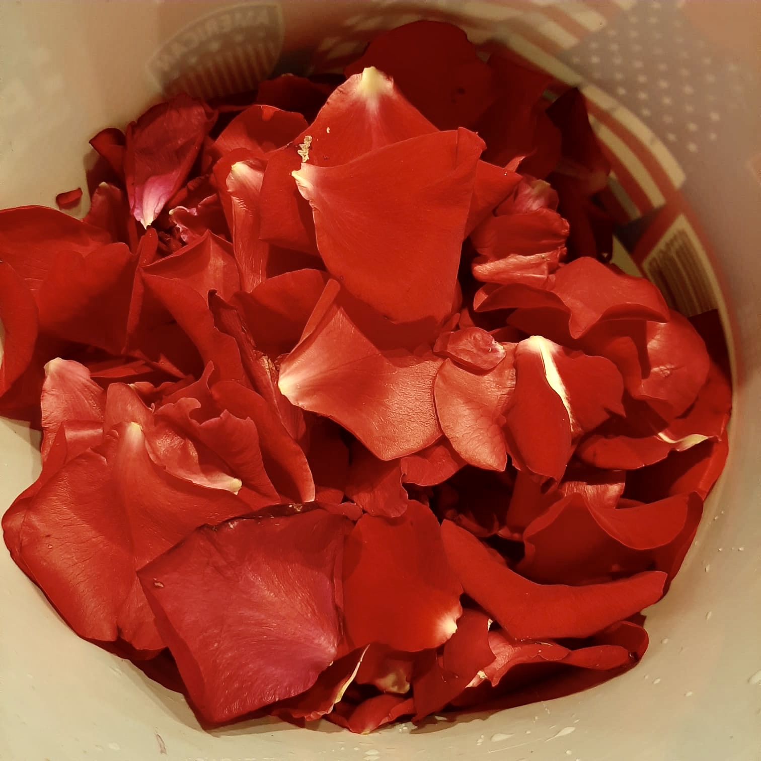 Bild zum Schritt 11 für die Kinder-Beschäftigung: 'Saubere Rosenblätter in einen hitzebeständigen Krug geben.'