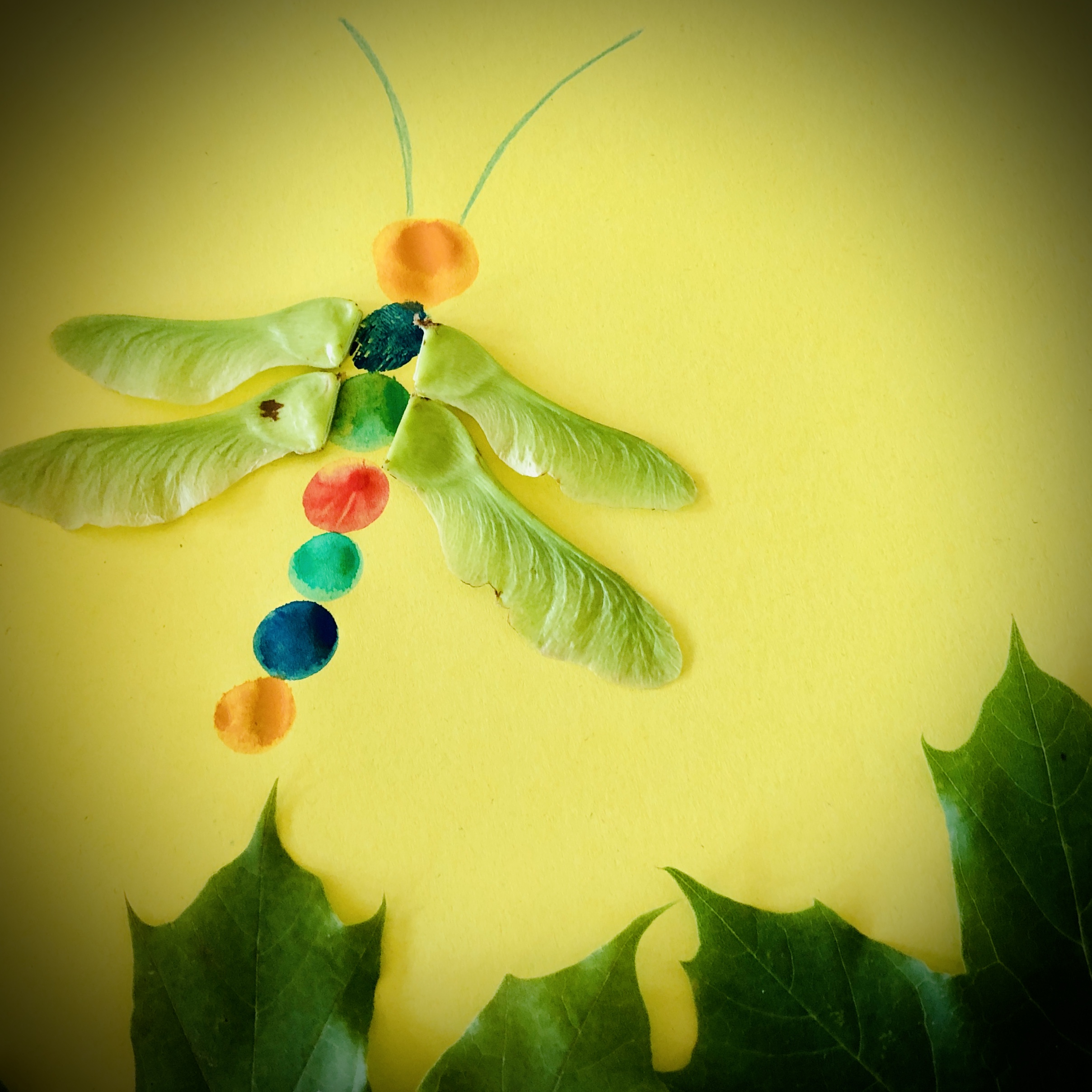 Bild zum Schritt 15 für das Bastel- und DIY-Abenteuer für Kinder: 'Fertig ist das Libellenbild aus Ahornblätter und Ahornsamen.'