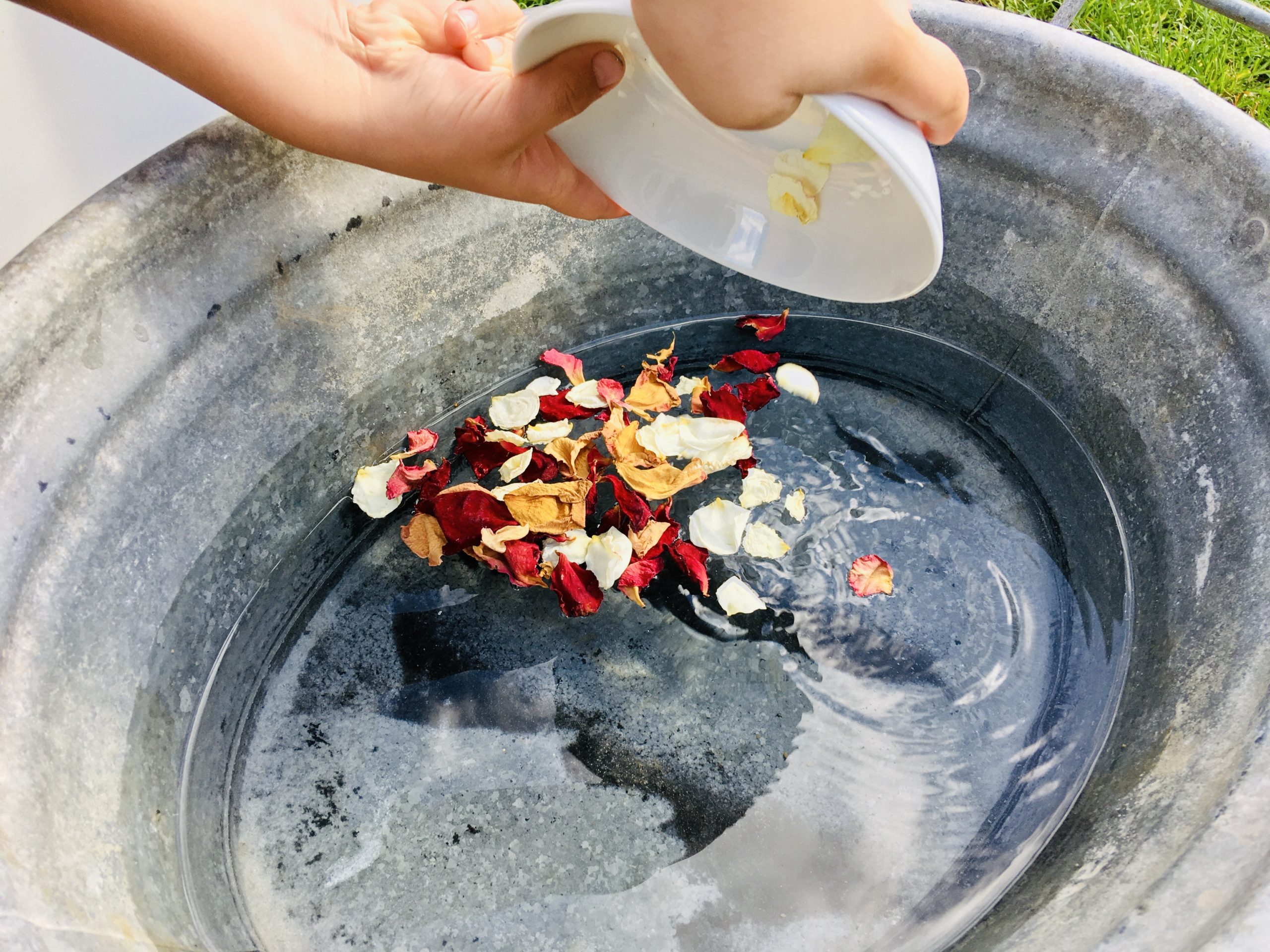Bild zum Schritt 2 für das Bastel- und DIY-Abenteuer für Kinder: 'Die Rosenblüten in das warme Wasser schütten und dann die...'