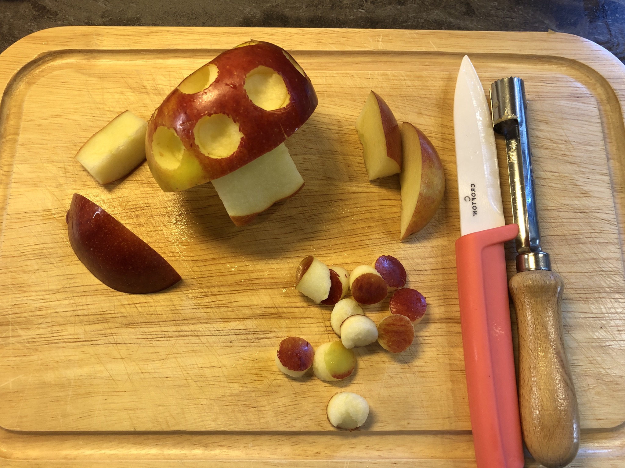 Bild zum Schritt 11 für das Bastel- und DIY-Abenteuer für Kinder: 'Fertig ist der Apfel-Pilz!   Alle angeschnittenen Apfelstückchen können...'