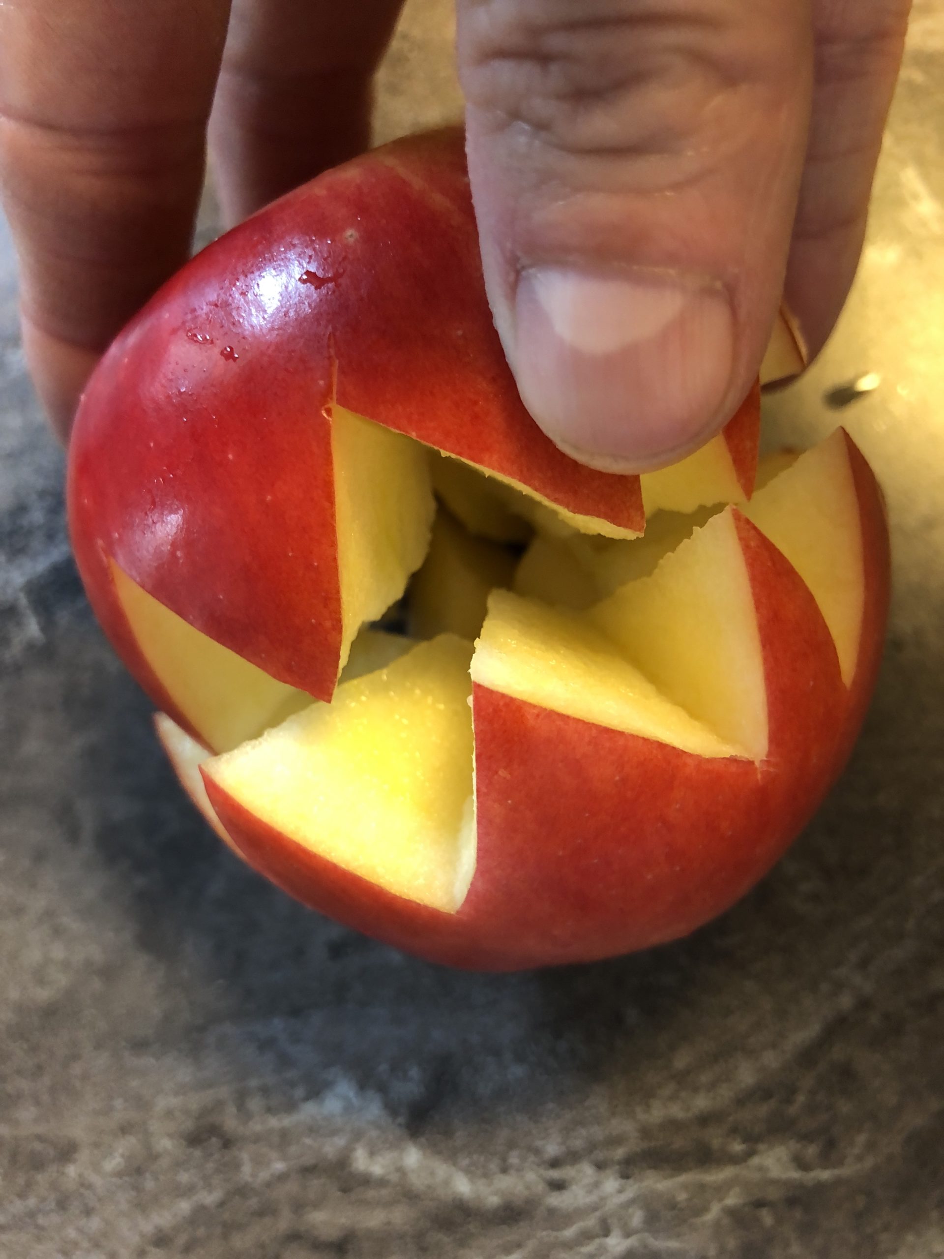 2. Bild zum Schritt 4 für das Bastel- und DIY-Abenteuer für Kinder: 'Den geschnittenen Apfel vorsichtig auseinander drehen.'