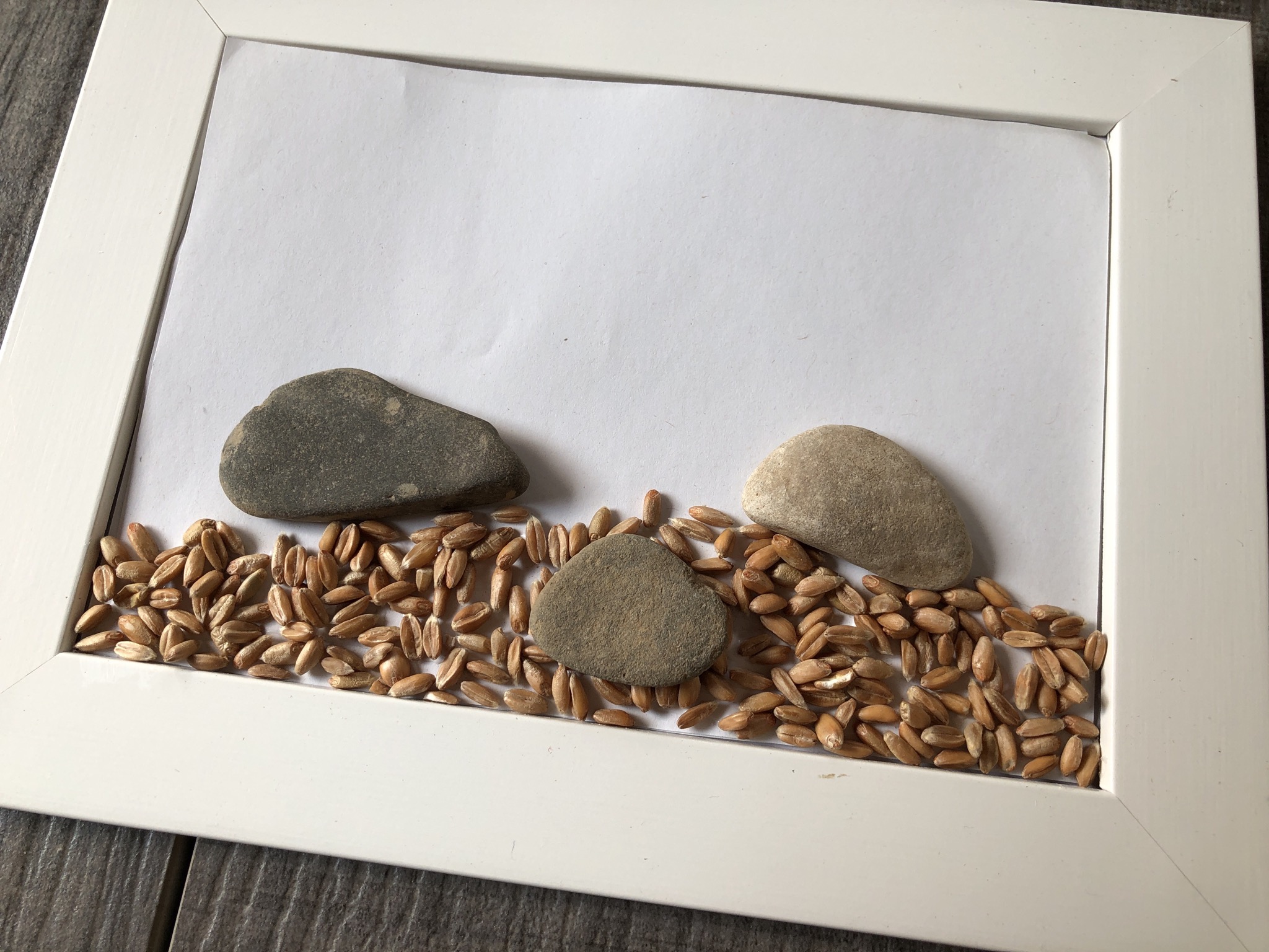 Bild zum Schritt 11 für das Bastel- und DIY-Abenteuer für Kinder: 'Legt die Steine auf die Körner die eure Mäuse werden...'
