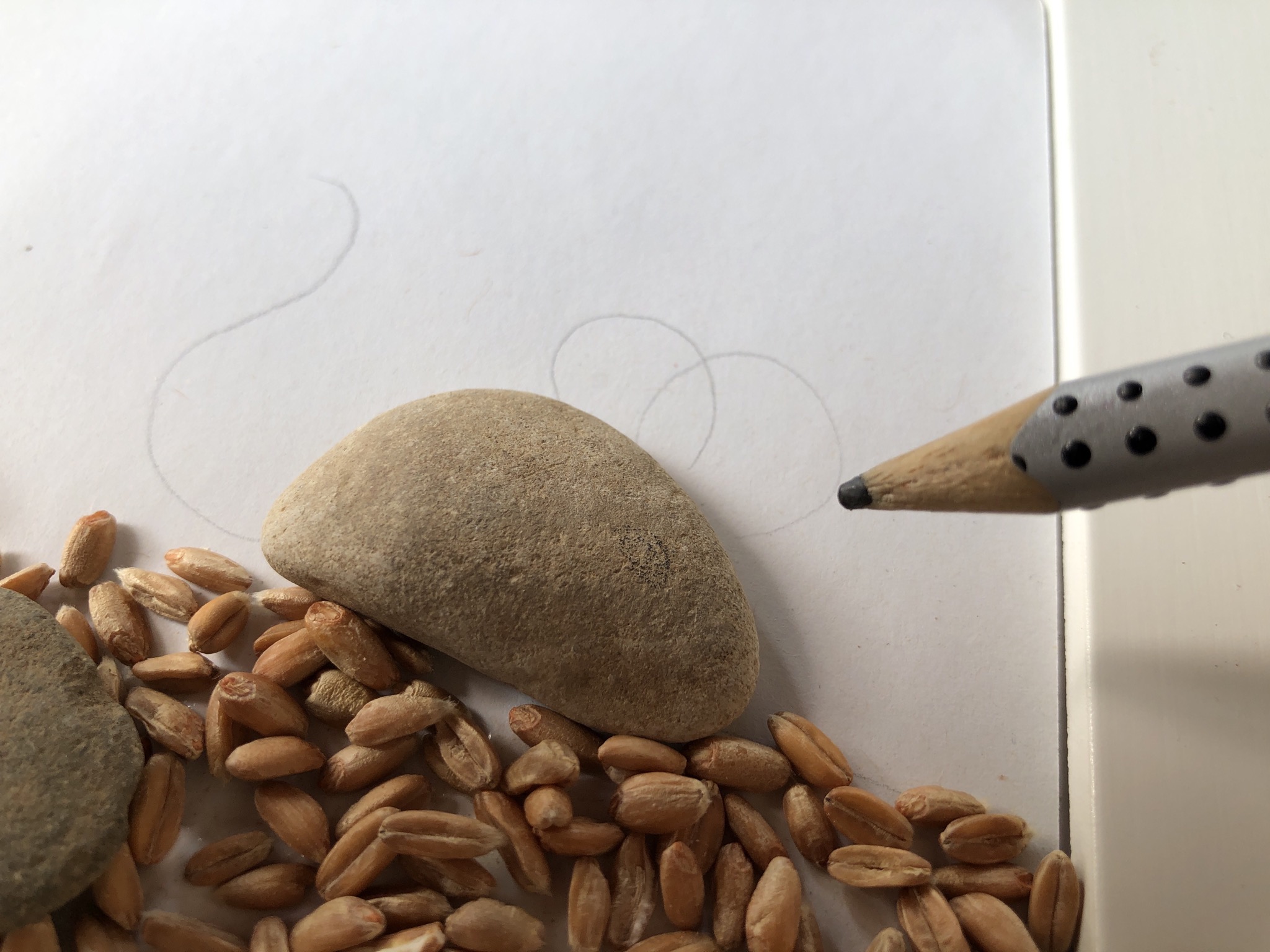 Bild zum Schritt 12 für das Bastel- und DIY-Abenteuer für Kinder: 'Zeichnet mit einem Bleistift die Ohren und das Schwänzchen der...'