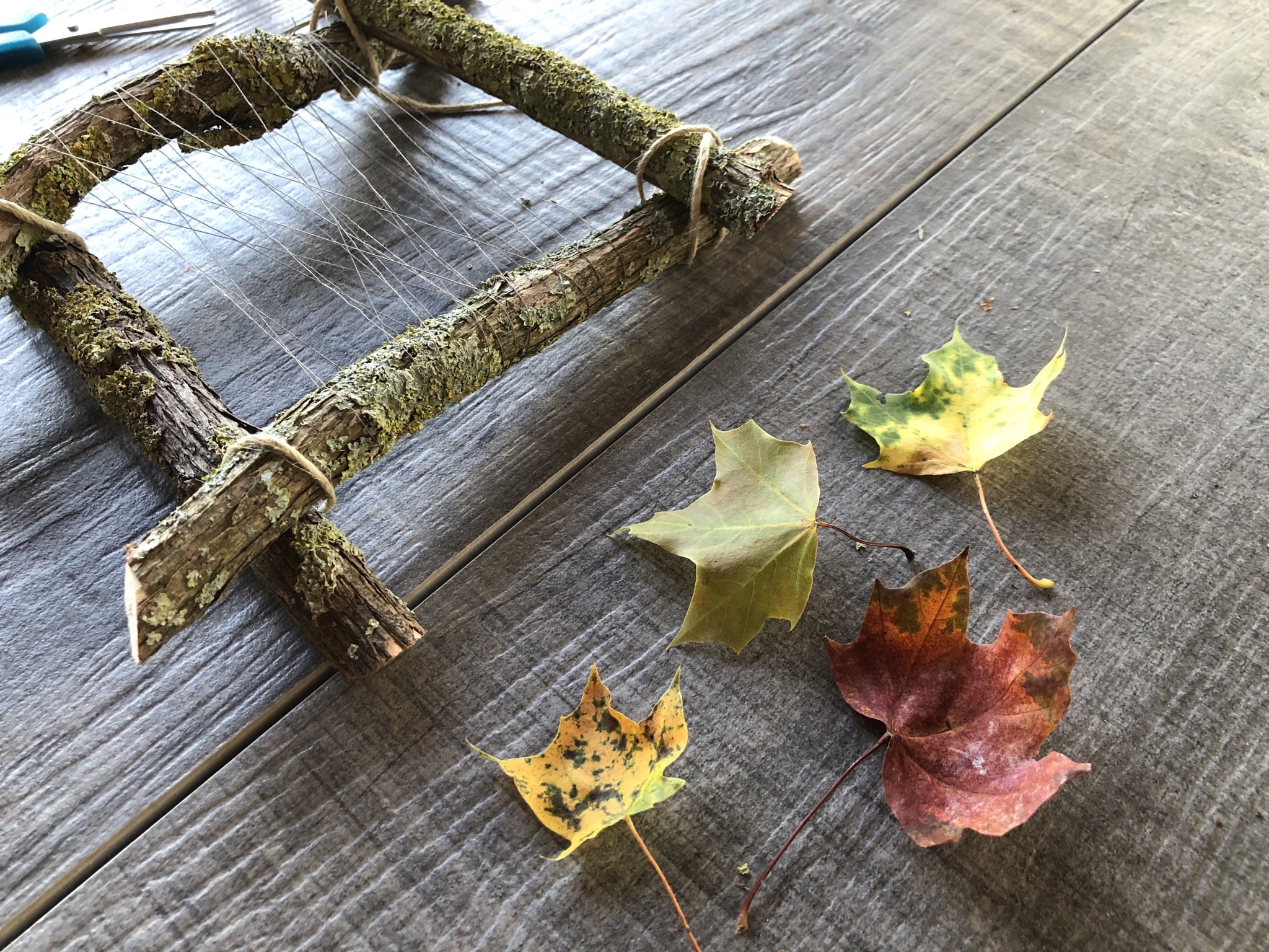 Bild zum Schritt 12 für das Bastel- und DIY-Abenteuer für Kinder: 'Sammelt bunte Herbstblätter und flechtet sie in das Fadennetz ein.'