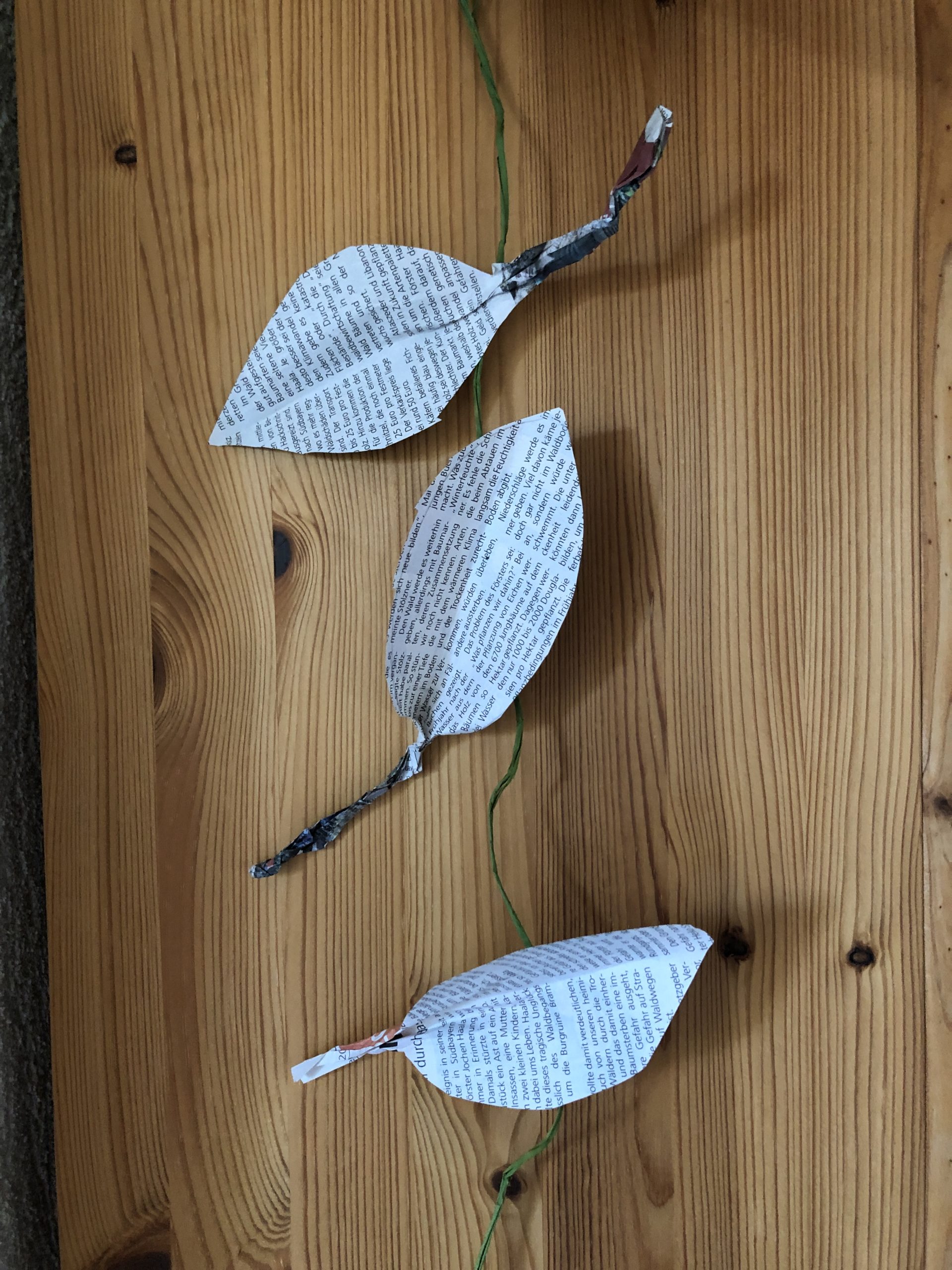 3. Bild zum Schritt 11 für das Bastel- und DIY-Abenteuer für Kinder: 'Jetzt klebt die Blätter an eine Bastschnur und hängt sie...'