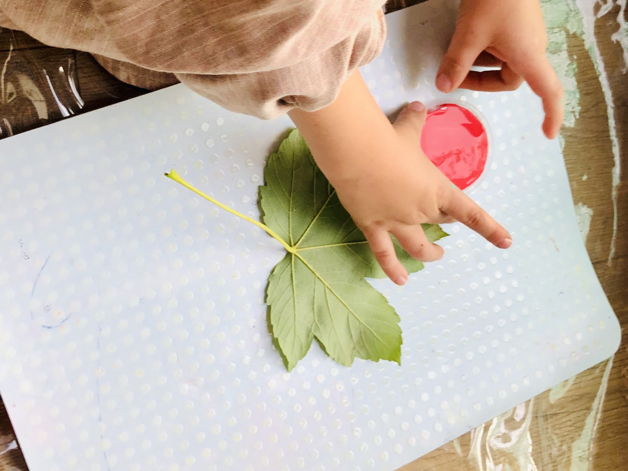 Bild zum Schritt 5 für das Bastel- und DIY-Abenteuer für Kinder: 'Jetzt nehmt ihr die Blätter, dreht sie um, so dass...'