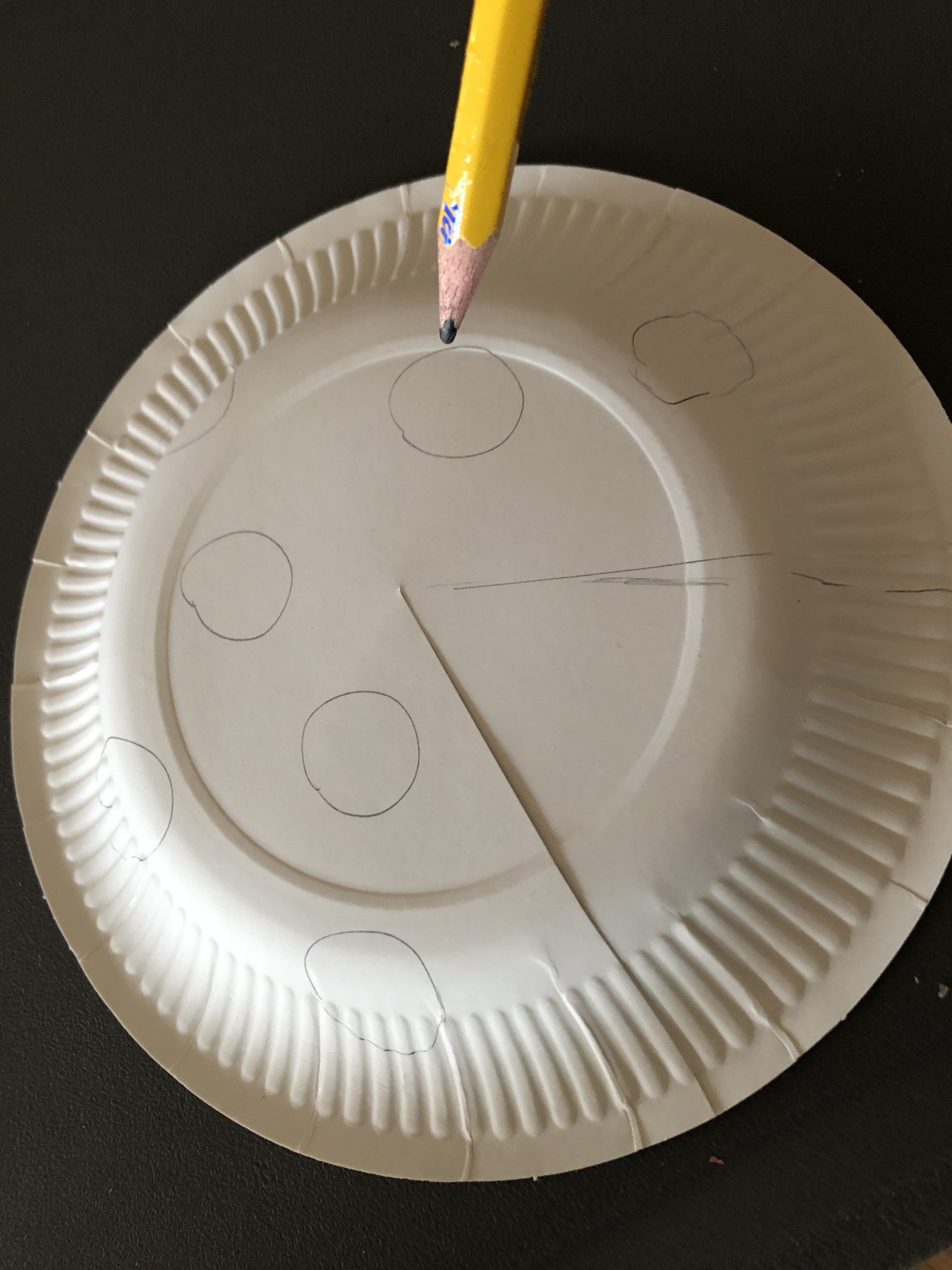Bild zum Schritt 12 für das Bastel- und DIY-Abenteuer für Kinder: 'Dann zeichnet ihr viele kleine Kreise auf und schneidet diese...'