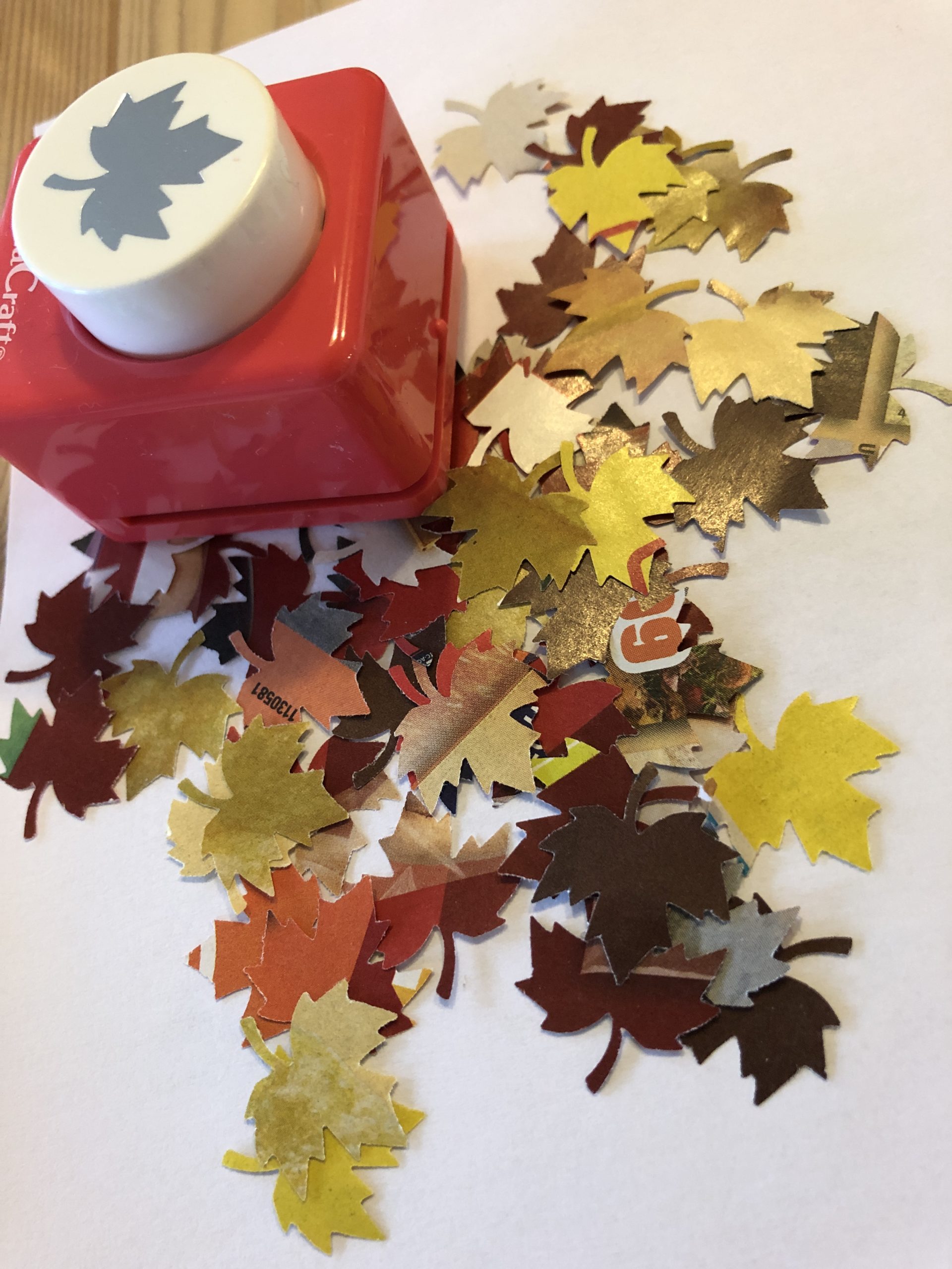 Bild zum Schritt 22 für das Bastel- und DIY-Abenteuer für Kinder: 'Stanzt aus Werbeprospekten farbige Blätter in den Herbstfarben aus!'