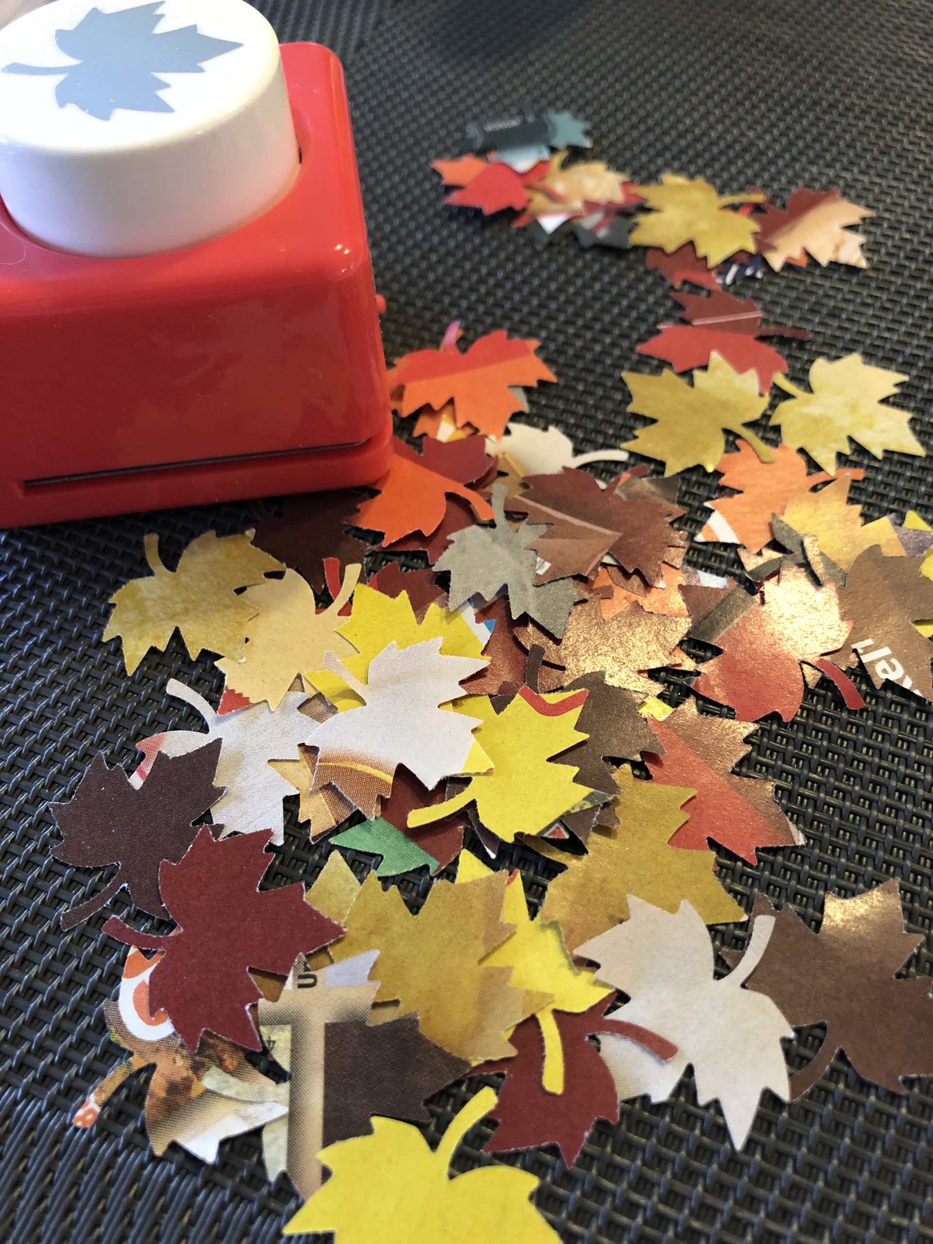 Bild zum Schritt 4 für das Bastel- und DIY-Abenteuer für Kinder: 'Stanzt verschiedene Blätter in den unterschiedlichsten Herbstfarben aus den Werbeprospekten...'