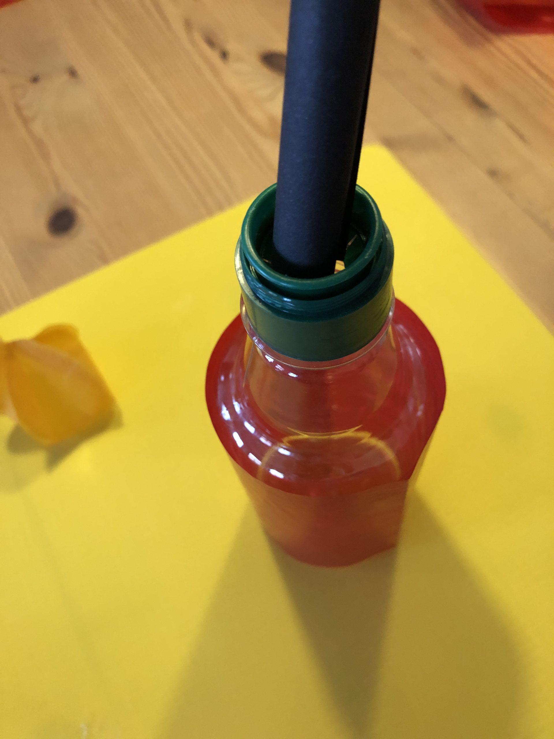 Bild zum Schritt 26 für das Bastel- und DIY-Abenteuer für Kinder: 'Steckt das Röhrchen (oder die Papierrolle) in die Flasche.'