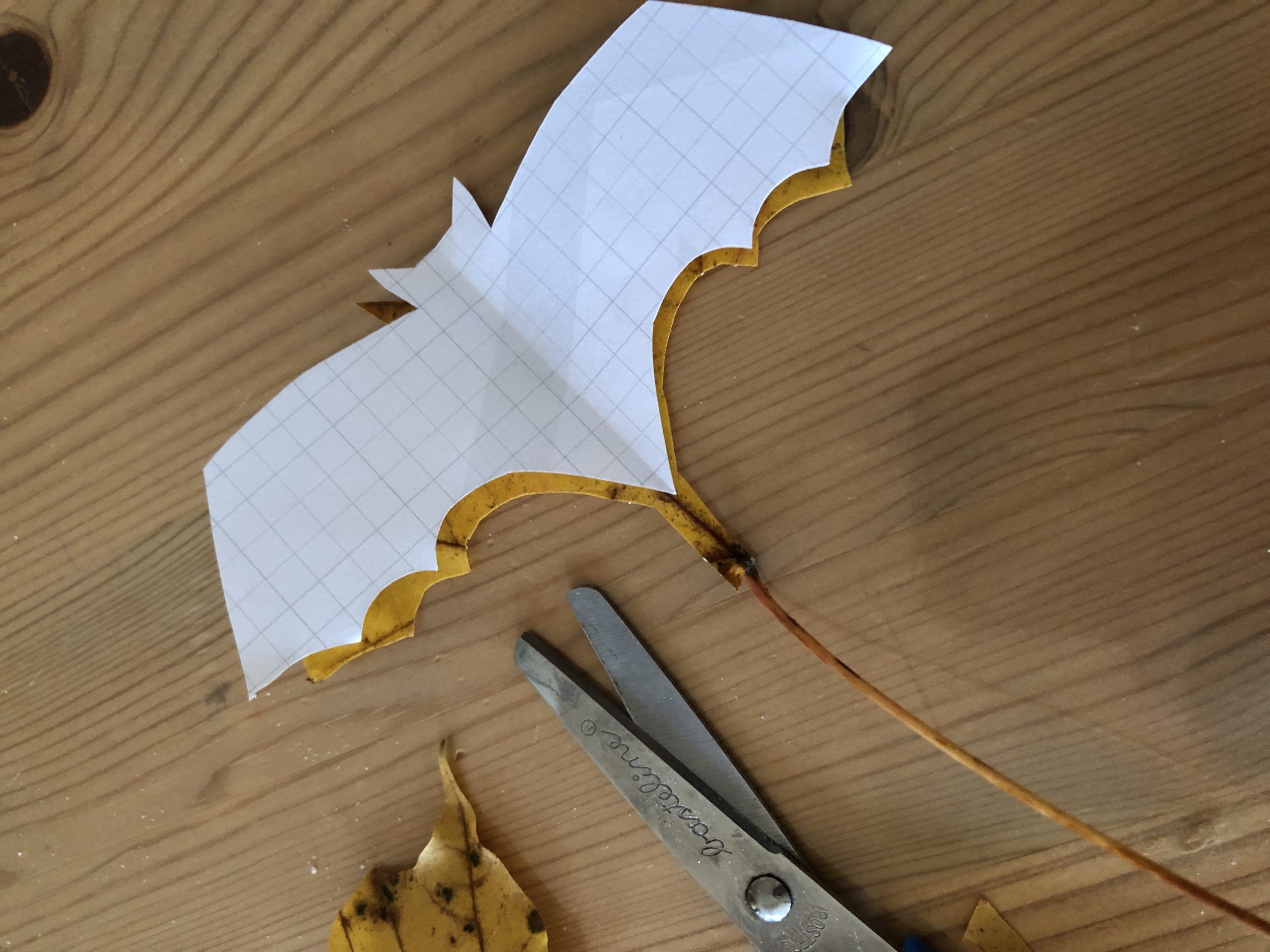 Bild zum Schritt 4 für das Bastel- und DIY-Abenteuer für Kinder: 'Die Fledermaus mit einem Stift auf das Blatt übertragen und...'