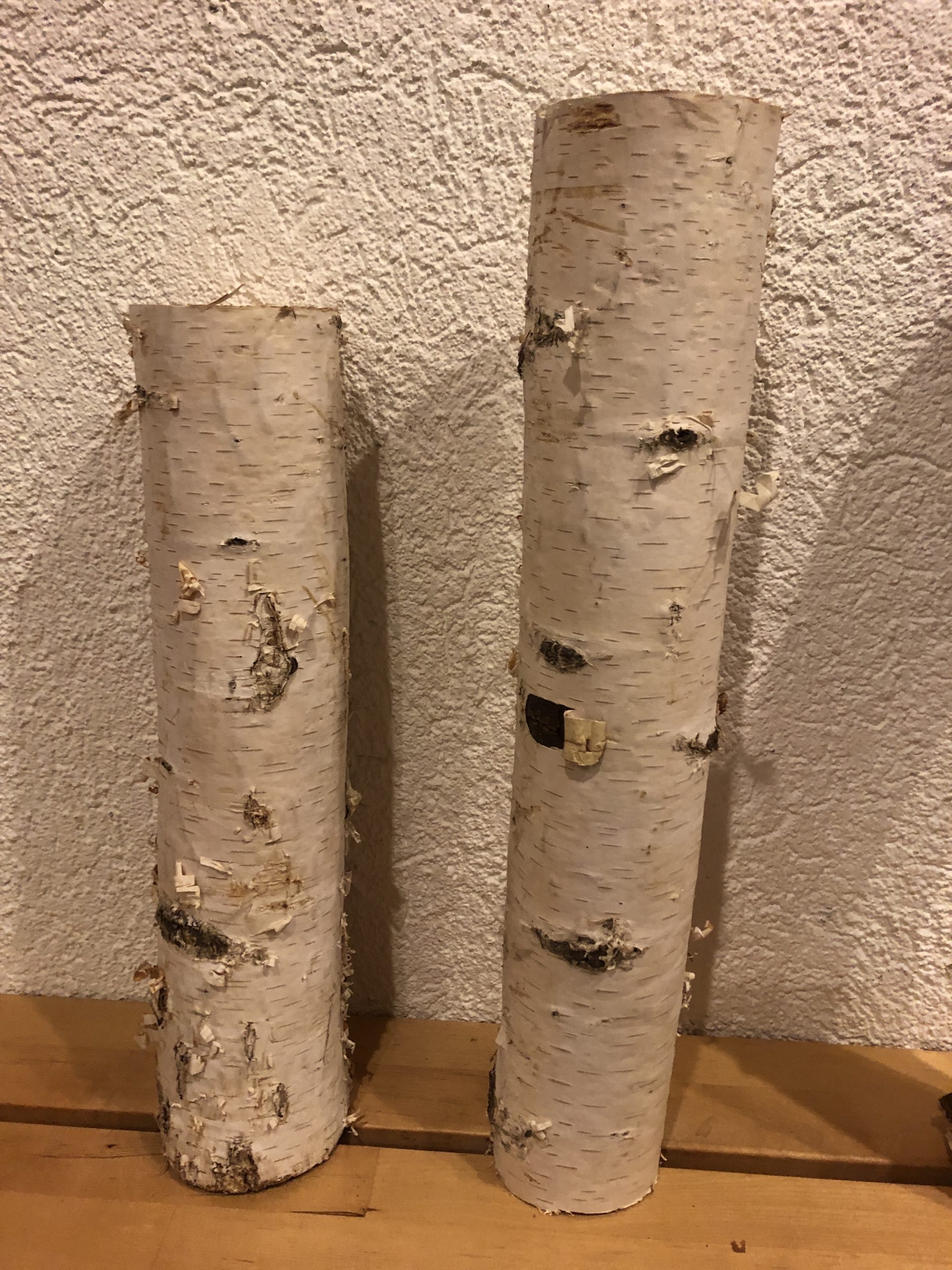 Bild zum Schritt 1 für das Bastel- und DIY-Abenteuer für Kinder: 'Sägt euch Holzstämme (Durchmesser: bis 10 cm) auf eine Länge...'