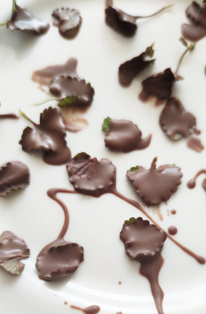 Wiesen After Eight
