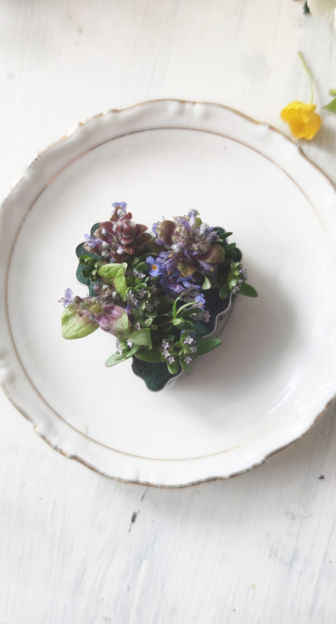 Titelbild zur Bastel- und DIY-Idee für Kinder '(768) Blumen in Ausstechförmchen'