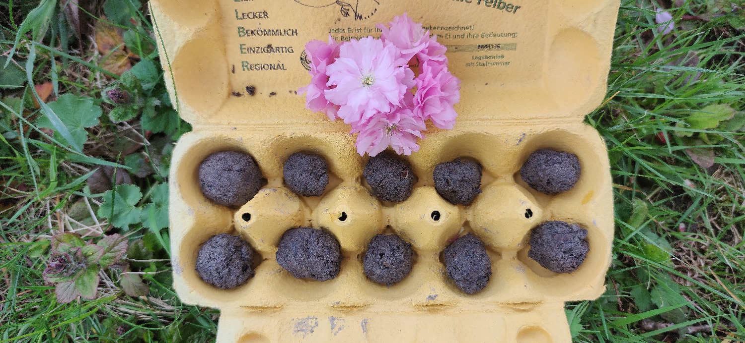 Titelbild zur Bastel- und DIY-Idee für Kinder '(774) Samenpralinen für Insekten'