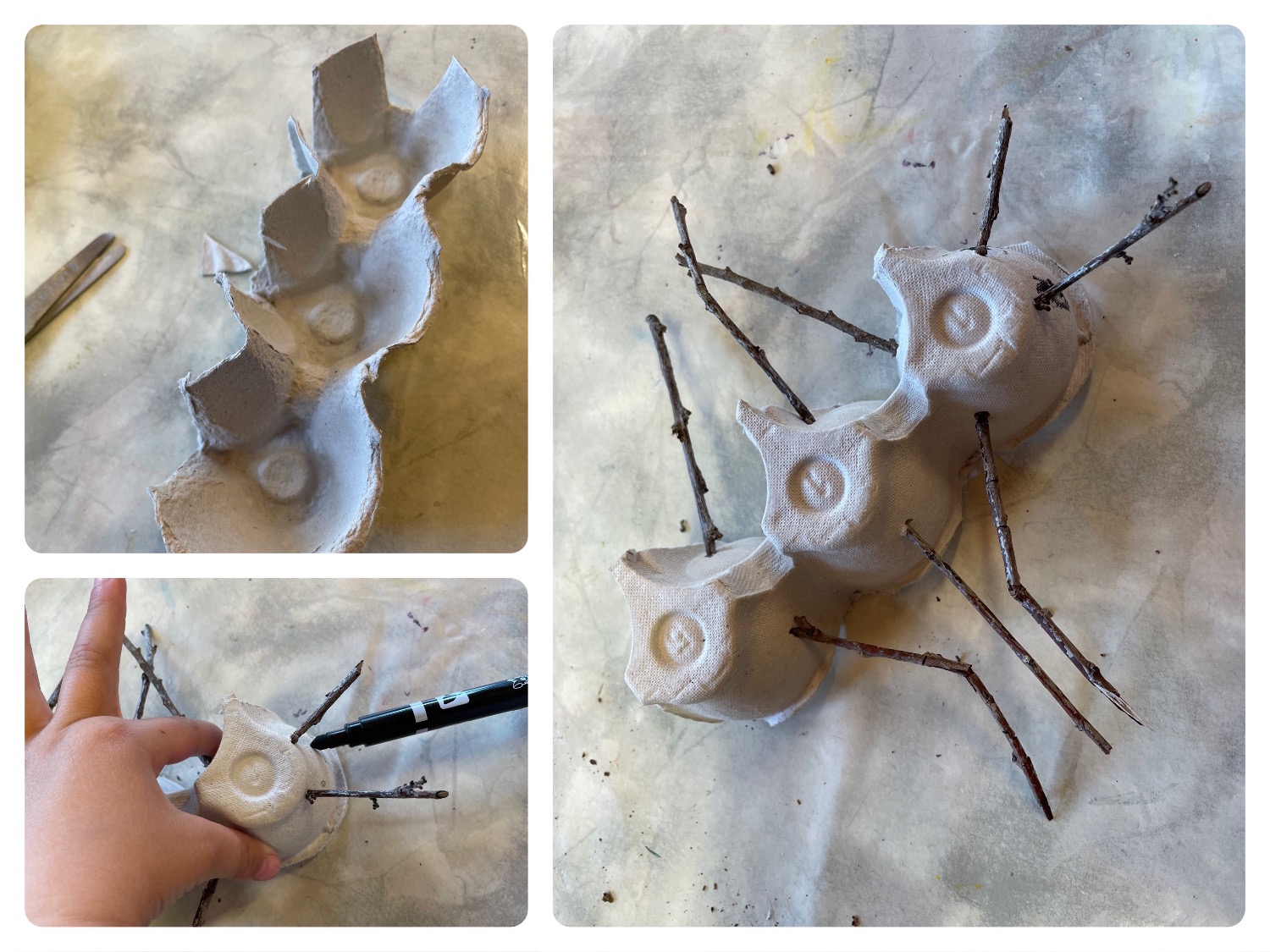 Titelbild zur Bastel- und DIY-Idee für Kinder '(807) Ameisen nachhaltig basteln'