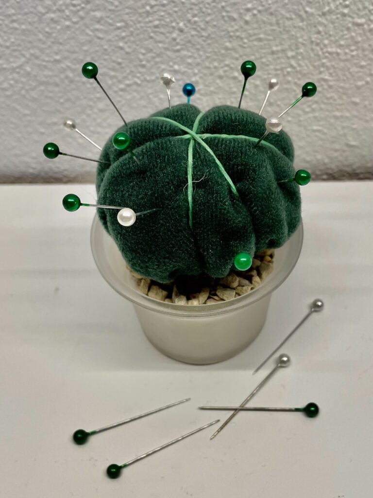 Kaktus als Nadelkissen