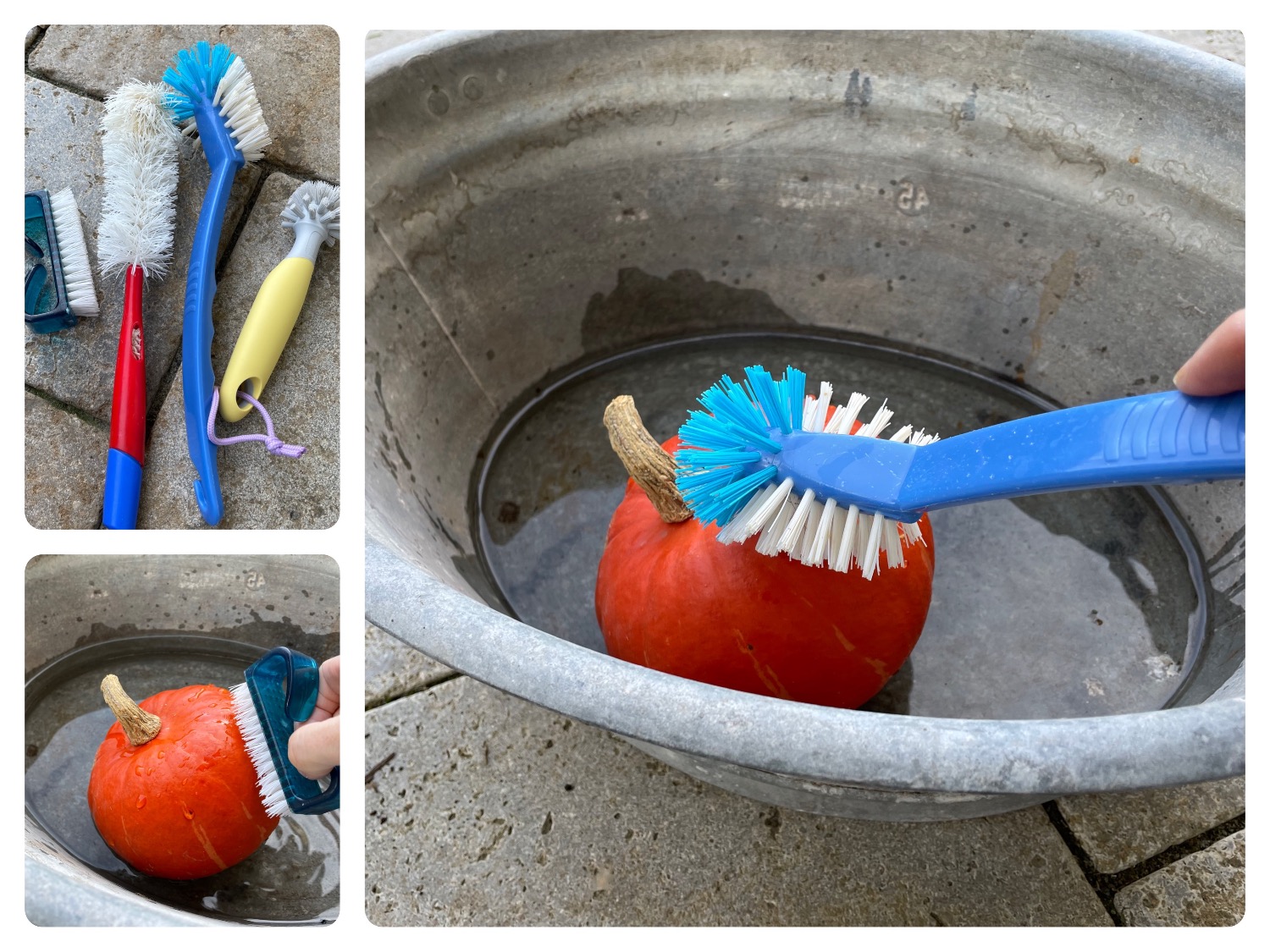 Titelbild zur Bastel- und DIY-Idee für Kinder '(874) Kürbis waschen'