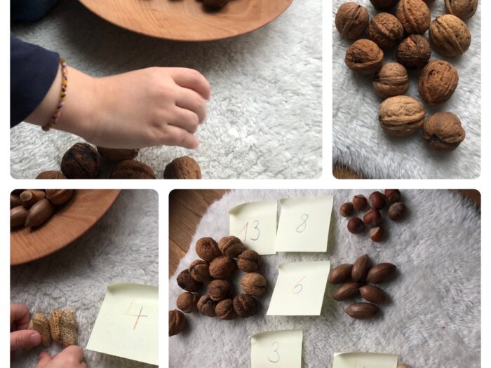 Titelbild zur Bastel- und DIY-Idee für Kinder '(920) Nüsse – Nussorten erkennen und benennen'