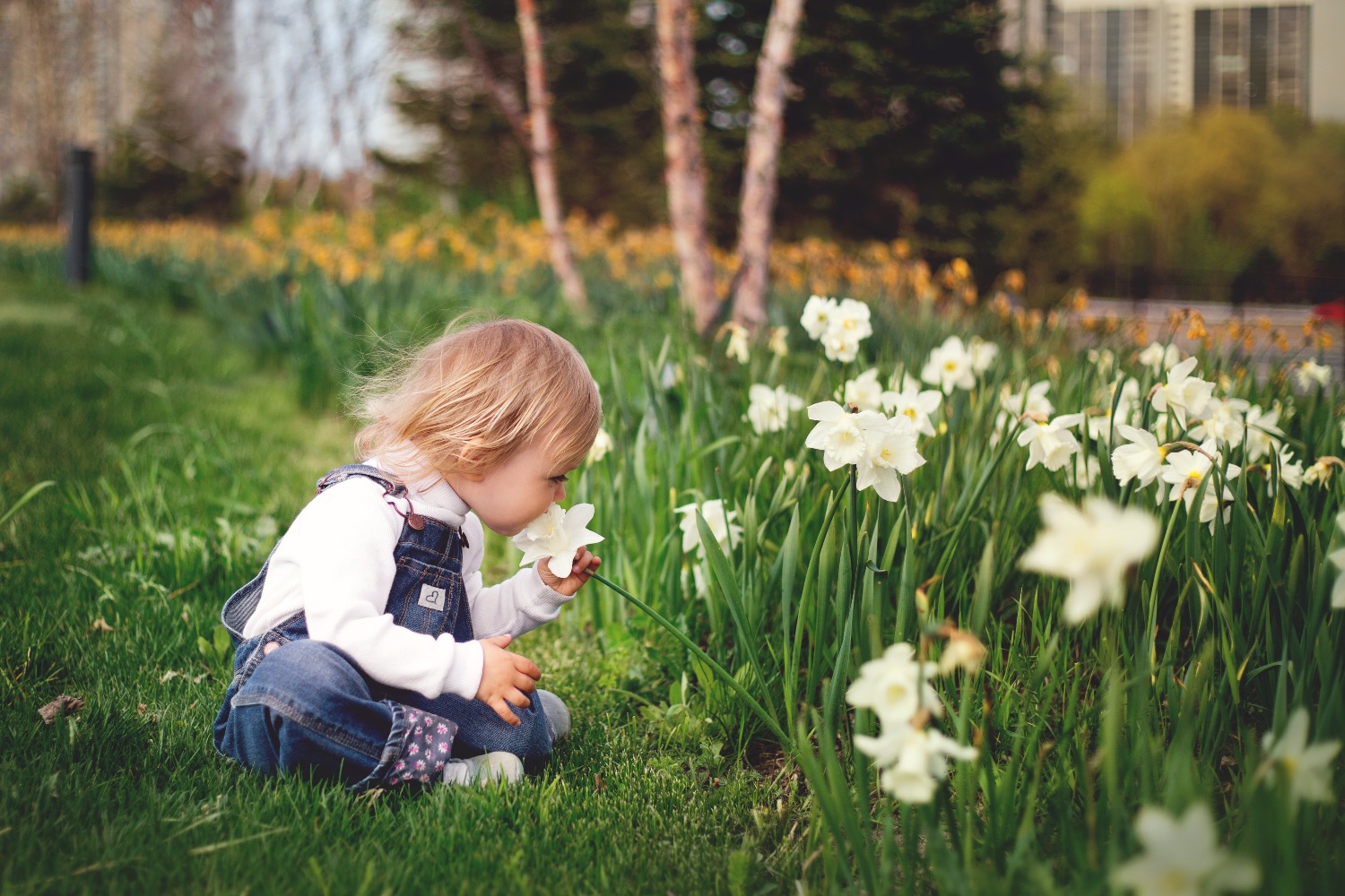 Titelbild zur Idee für die Beschäftigung mit Kindern 'Natur erleben und Blumen riechen'