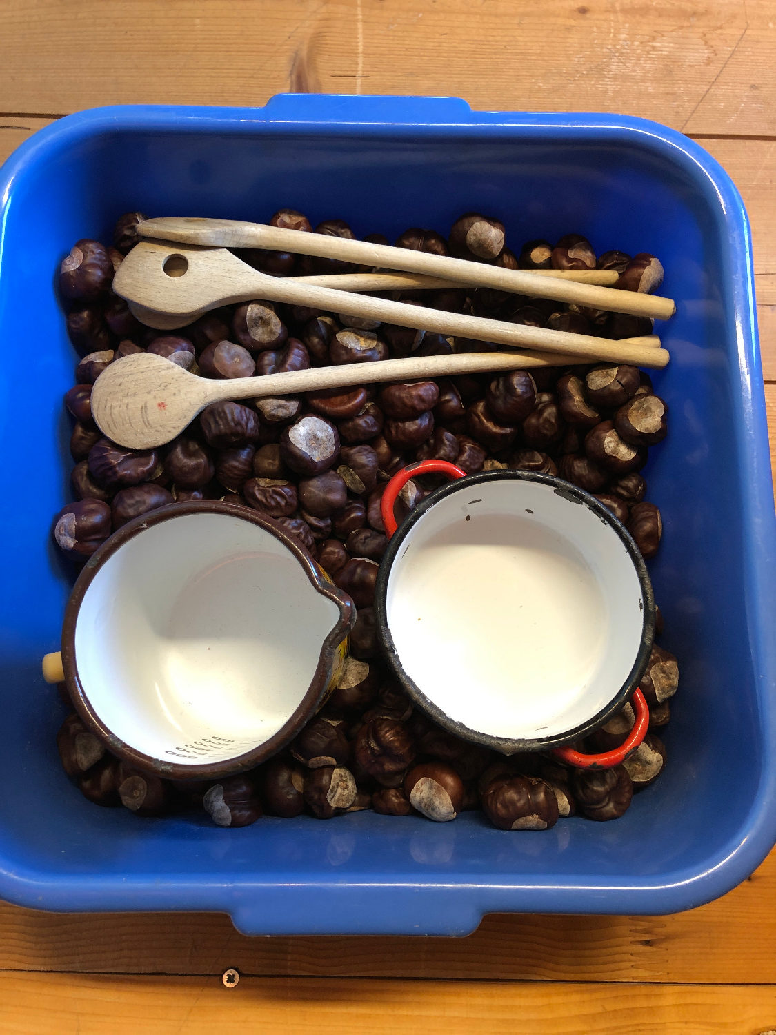 Titelbild zur Bastel- und DIY-Idee für Kinder '(59) Kastanienspiel: Kochen mit Kastanien'