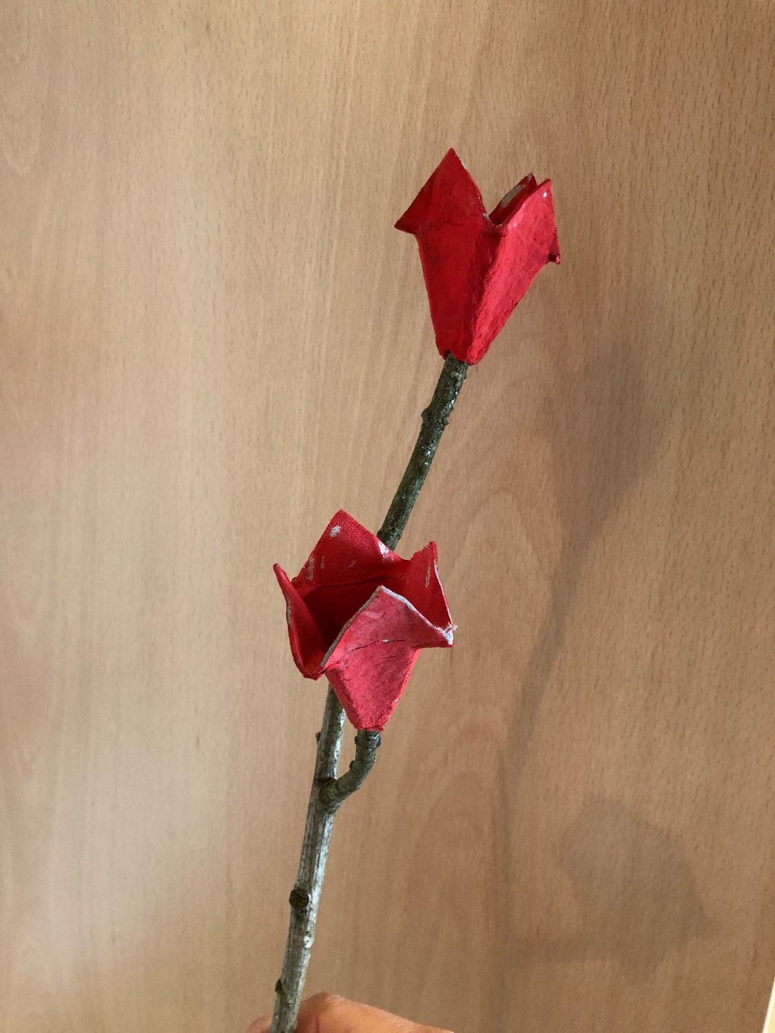 Titelbild zur Bastel- und DIY-Idee für Kinder '(68) Tulpe aus Eierkarton'