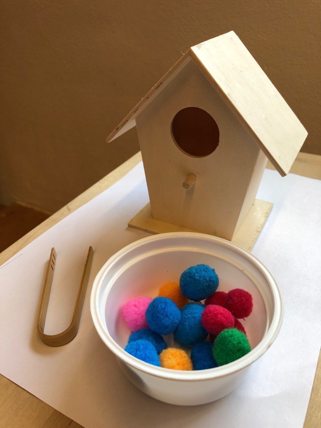 Titelbild zur Bastel- und DIY-Idee für Kinder '(69) Vogelhäuschen als Steckspiel'