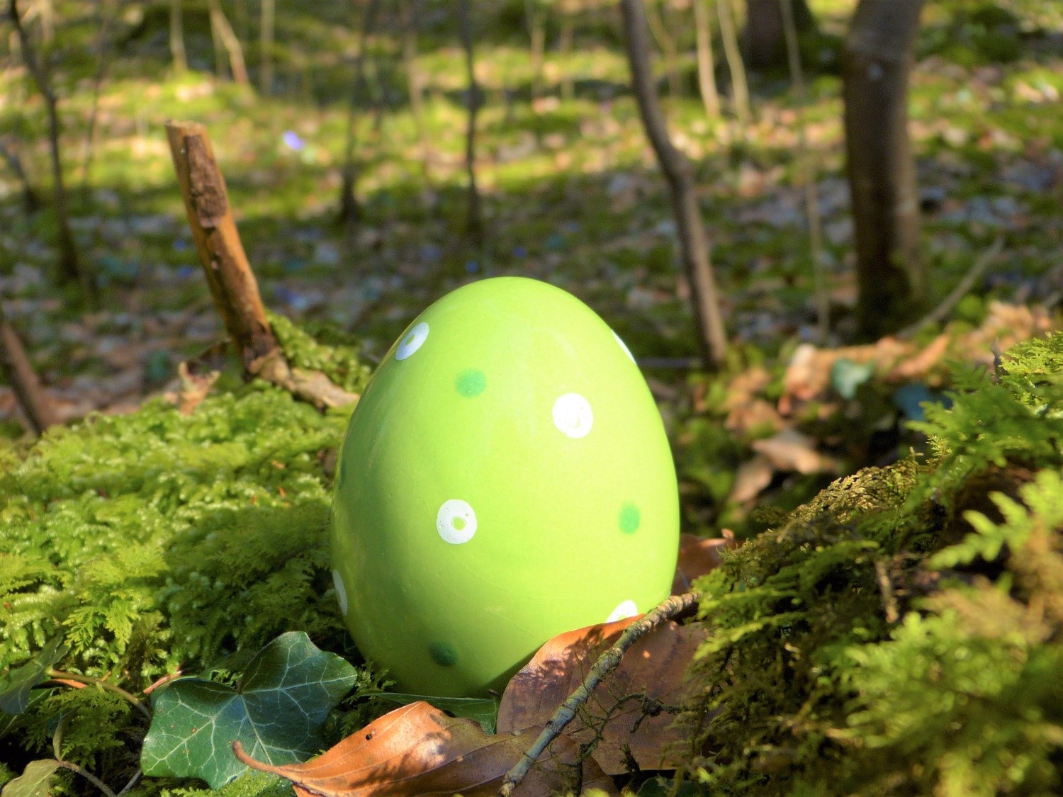 Titelbild zur Bastel- und DIY-Idee für Kinder '(101) Osterspaziergang mit Eiersuche'