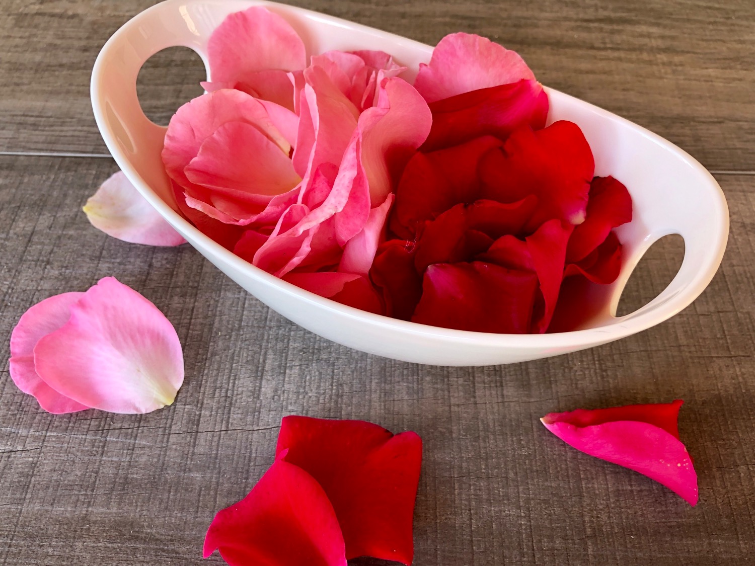Titelbild zur Bastel- und DIY-Idee für Kinder '(288) Rosenblütenblätter ernten und trocknen'
