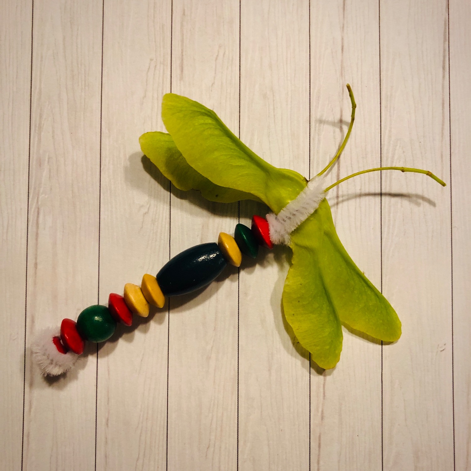 Titelbild zur Bastel- und DIY-Idee für Kinder '(300) Libelle aus Ahornsamen'