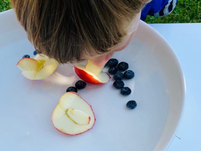 Titelbild zur Bastel- und DIY-Idee für Kinder '(389) Apfel fischen – Früchte tauchen'