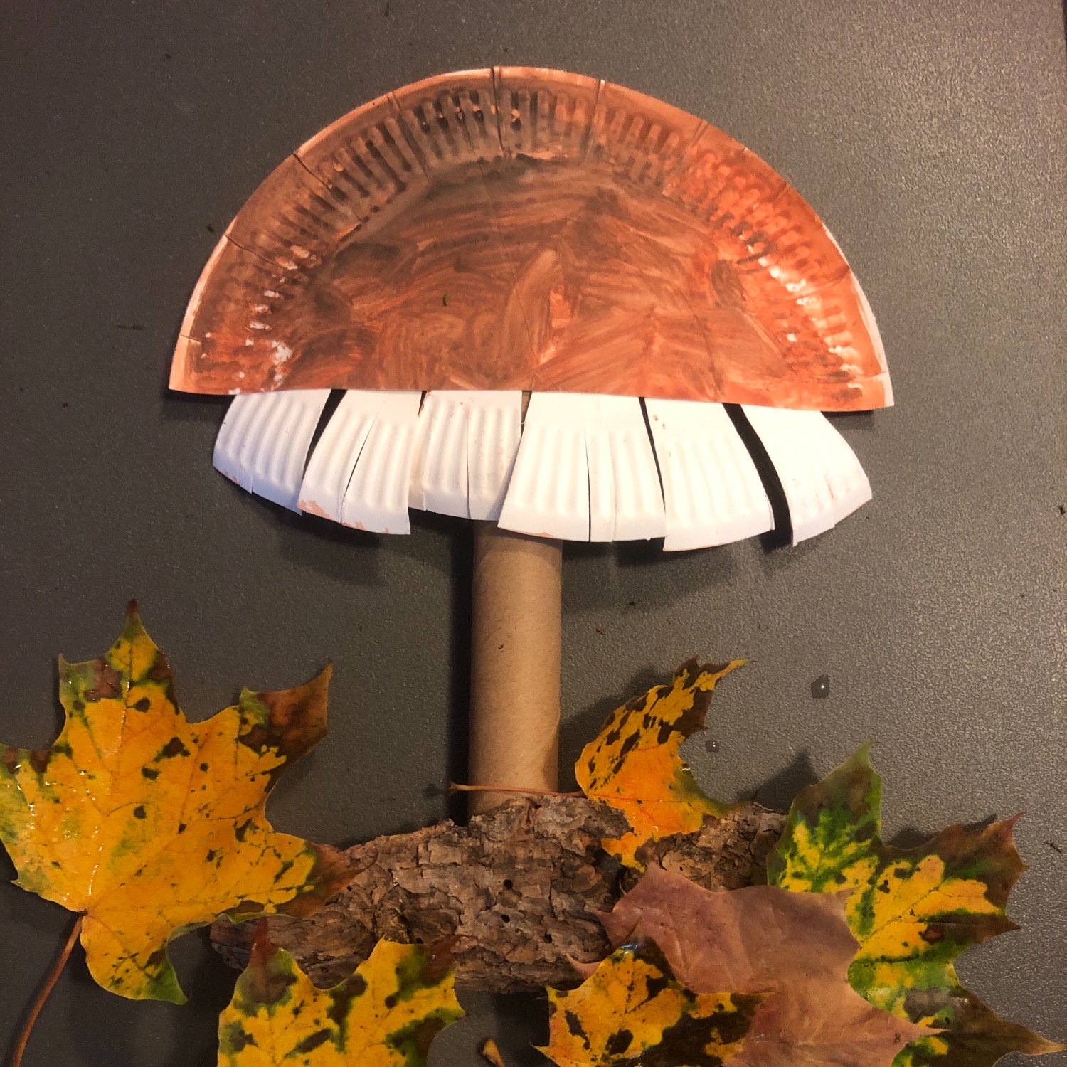 Titelbild zur Bastel- und DIY-Idee für Kinder '(435) Pilz (aus Pappteller)'